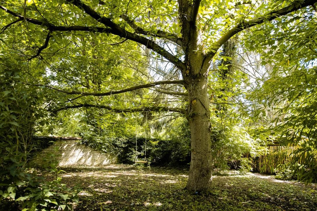 Le jardin des secrets photo 9