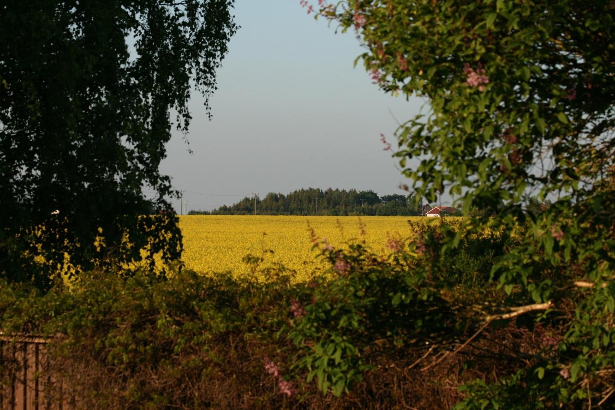 Lilla Huset på Slätten B&B photo 3