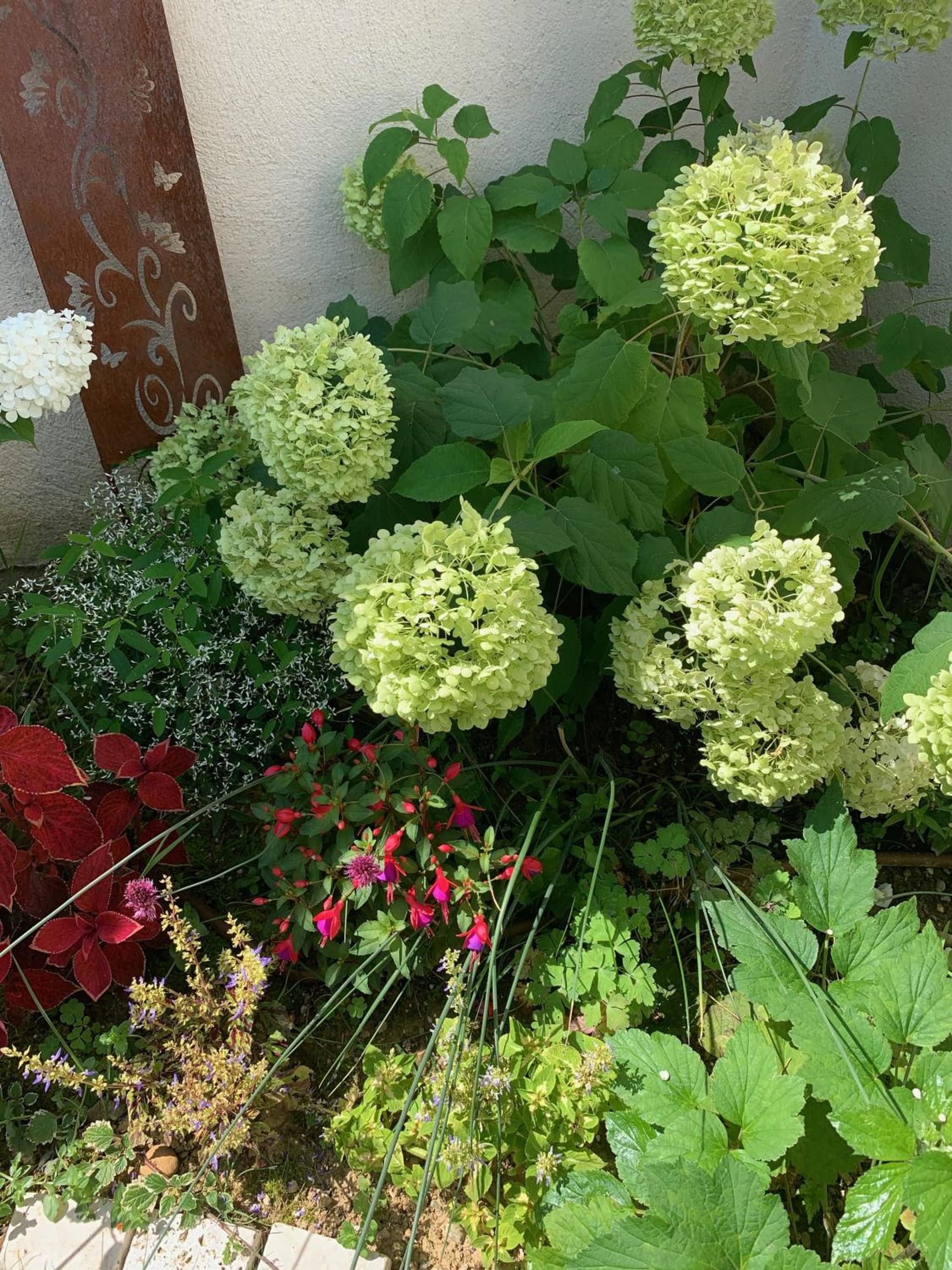 La Glycine B&B photo 2