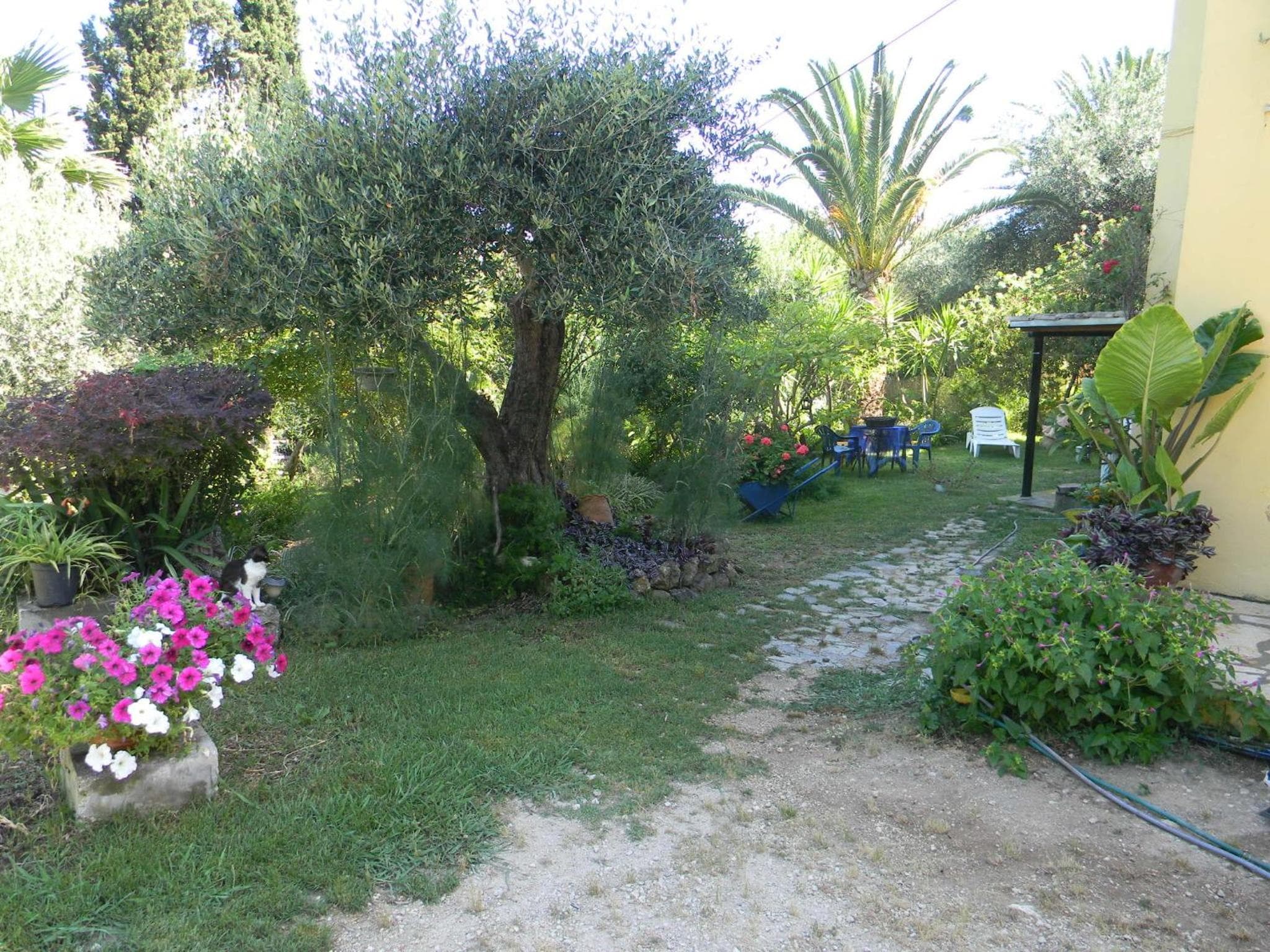 Villa Efterpi photo 9