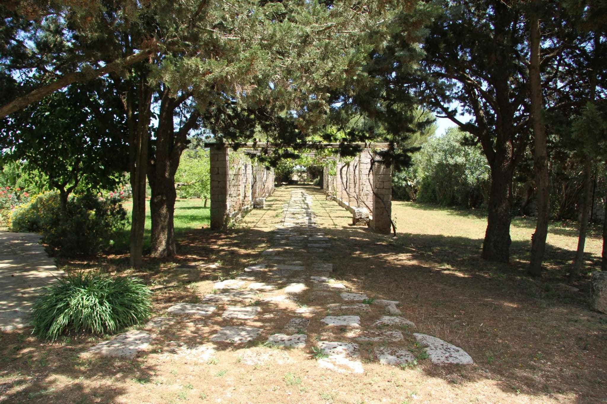 Masseria Cristo photo 7