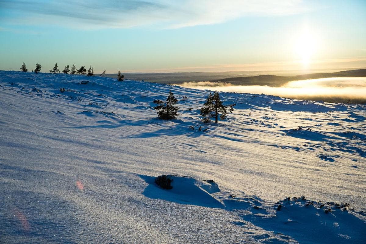 Ylläs with a view photo 8