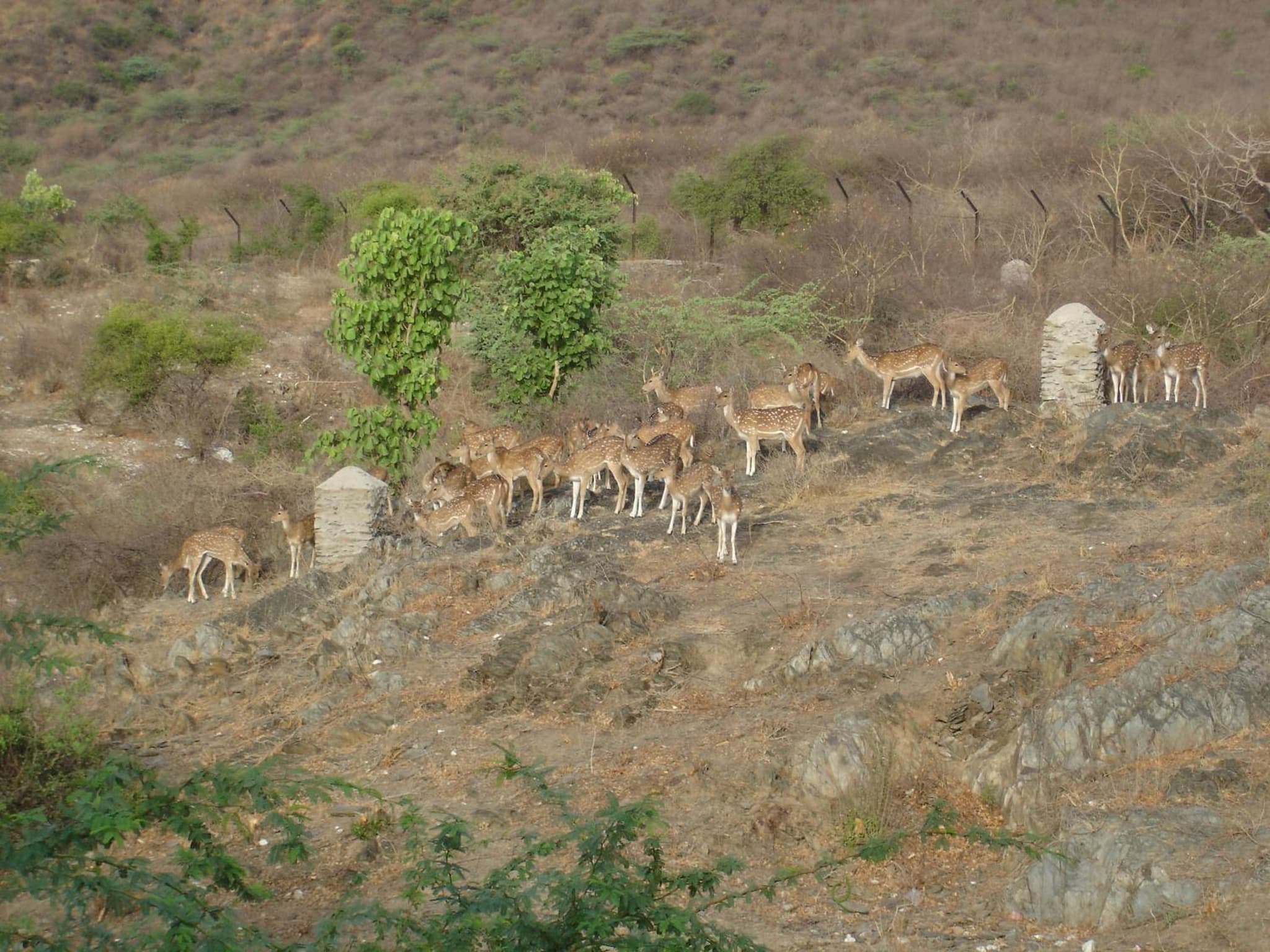 Raj Niwas photo 9