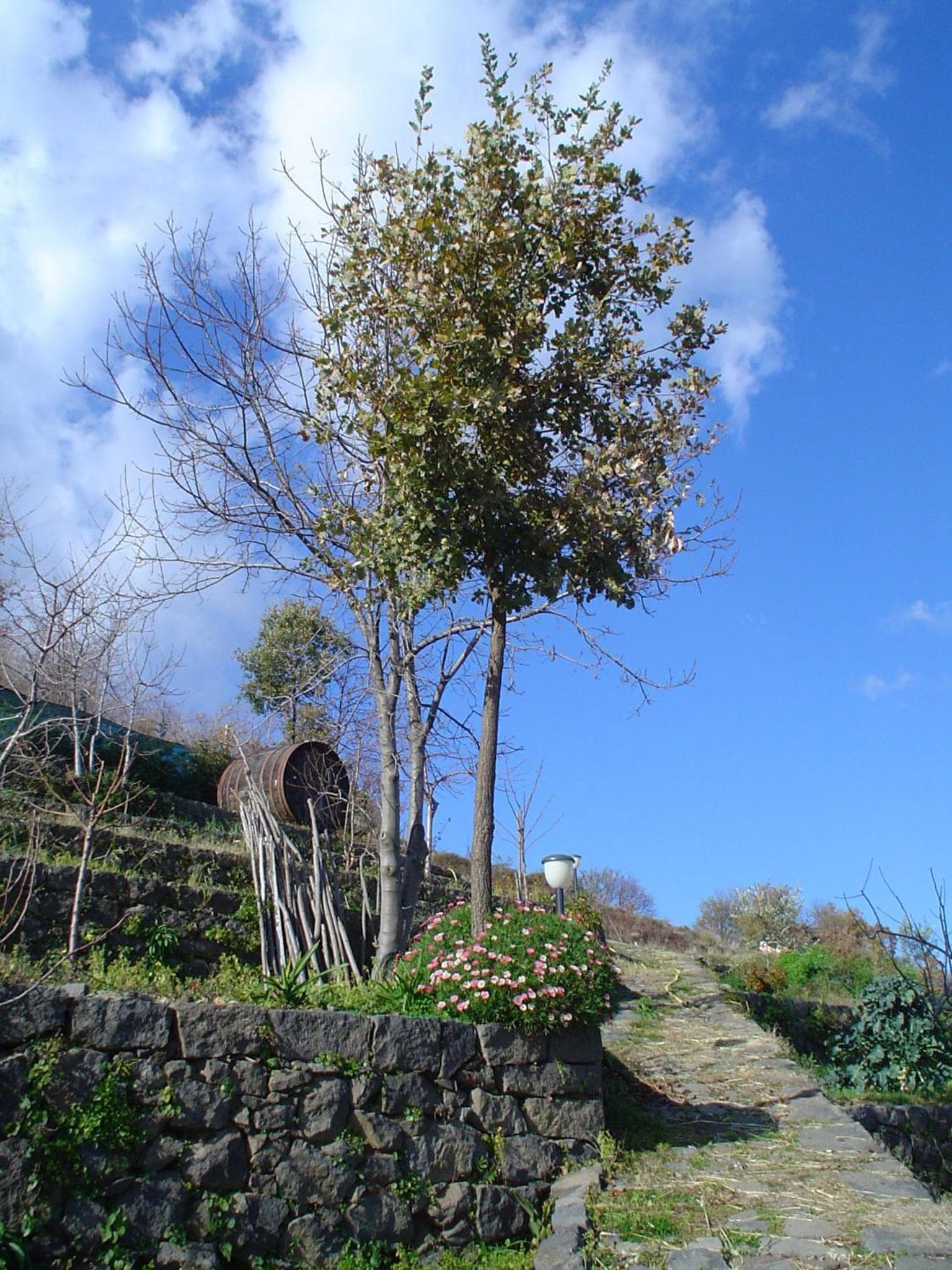 La pietra antica O' munti photo 3