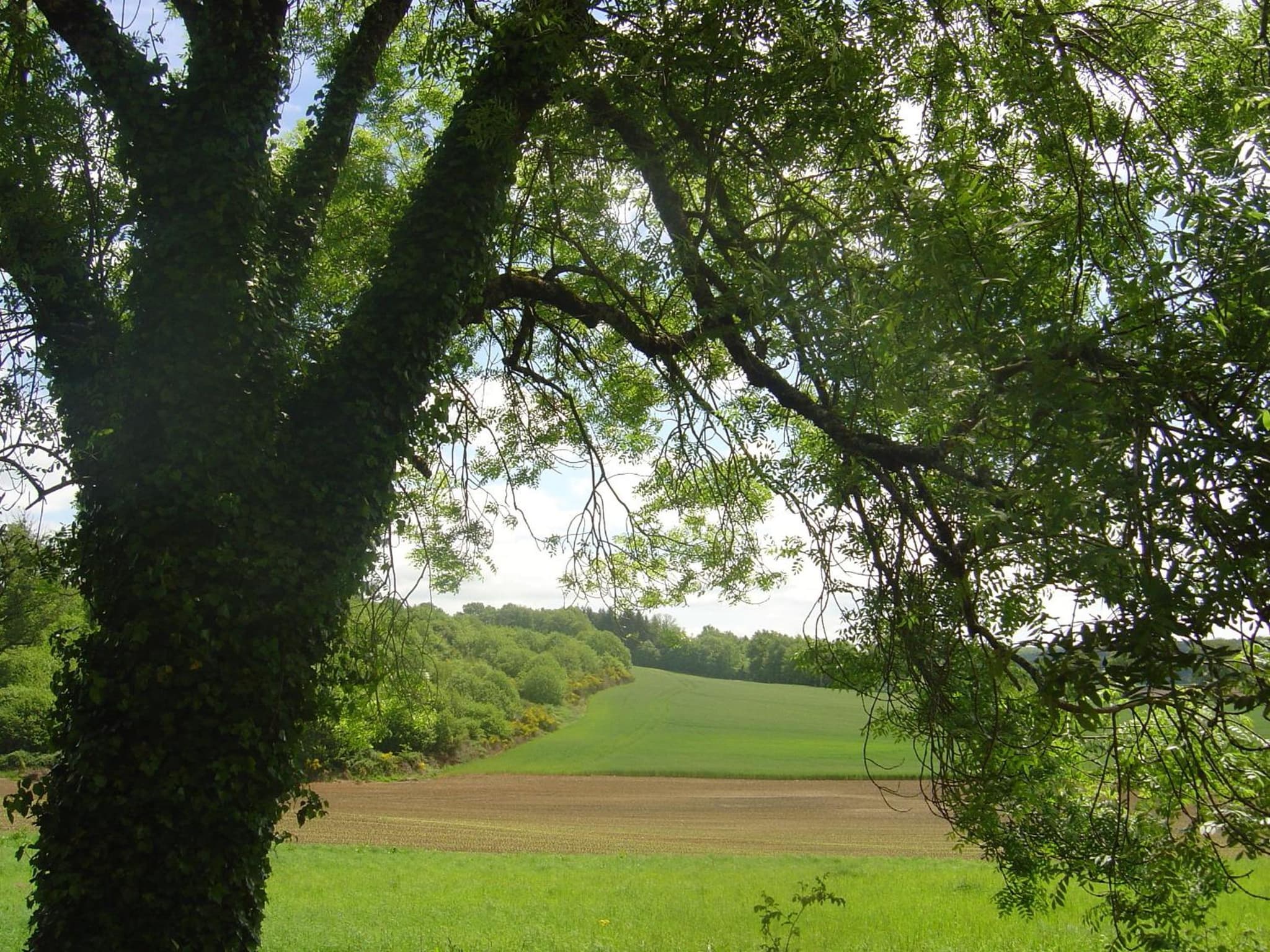 Le Puy Robin photo 8