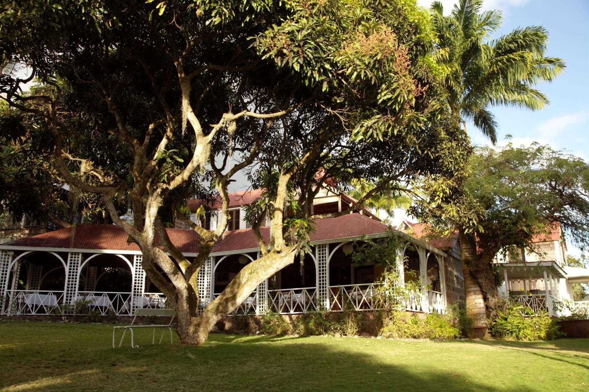 Hermitage Nevis photo 6