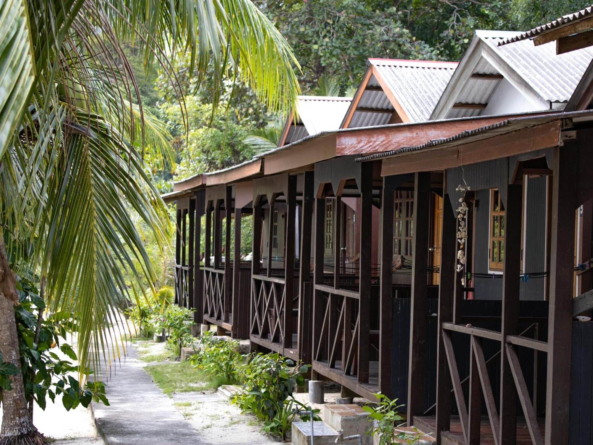 BUSHMAN TIOMAN photo 7