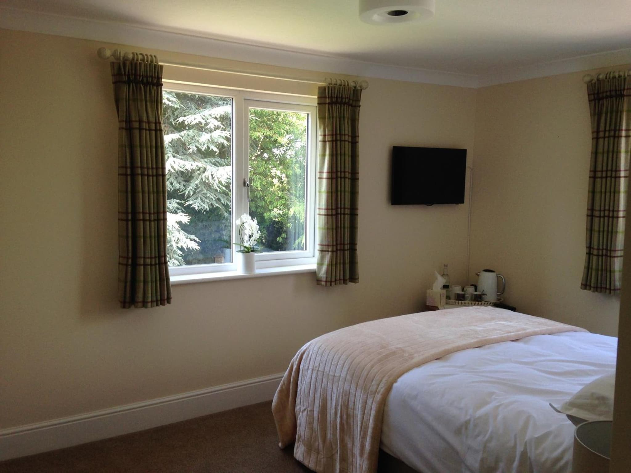 Whitethorn Bed and Breakfast photo 8