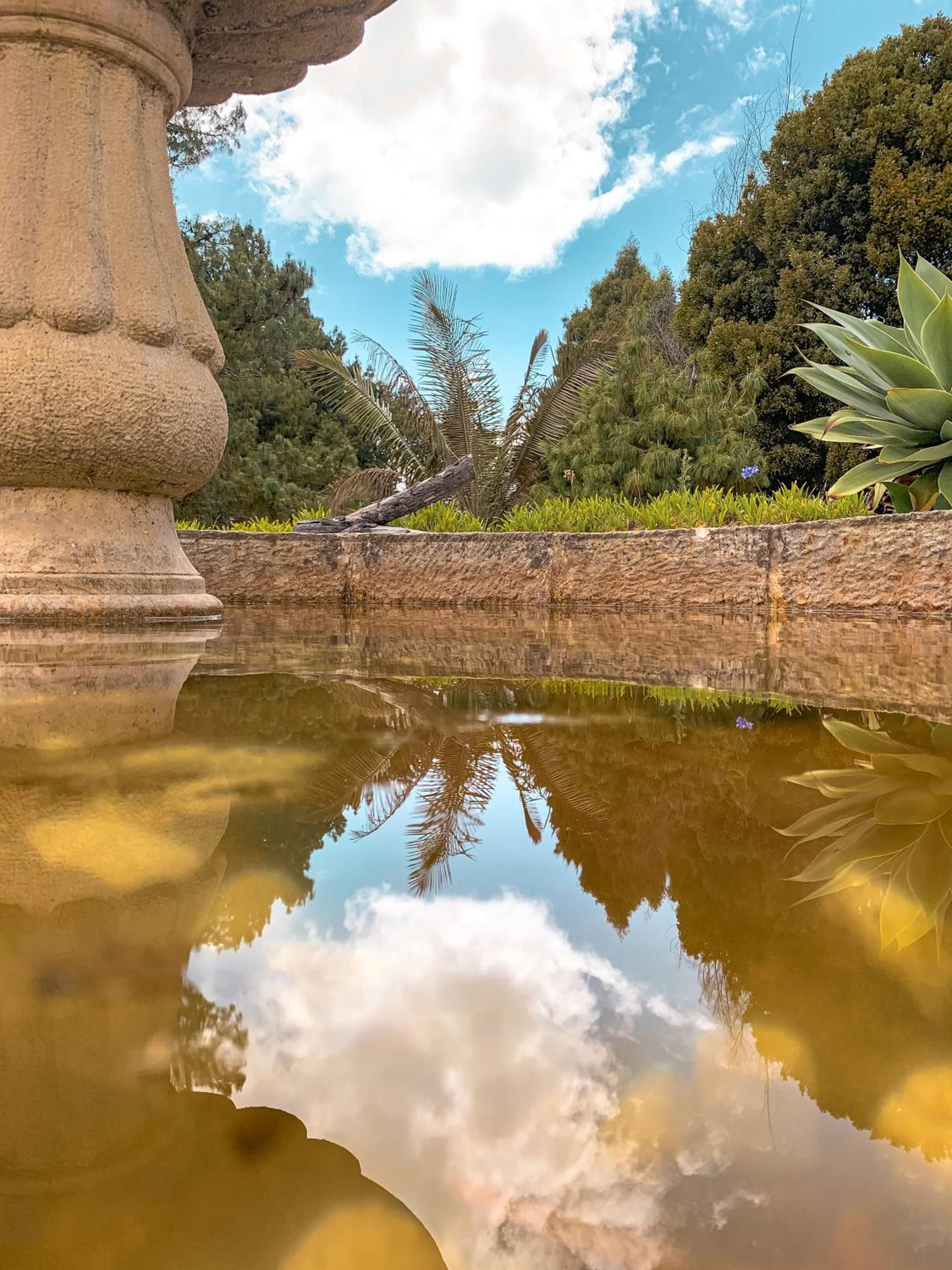 Hacienda la Odisea photo 4