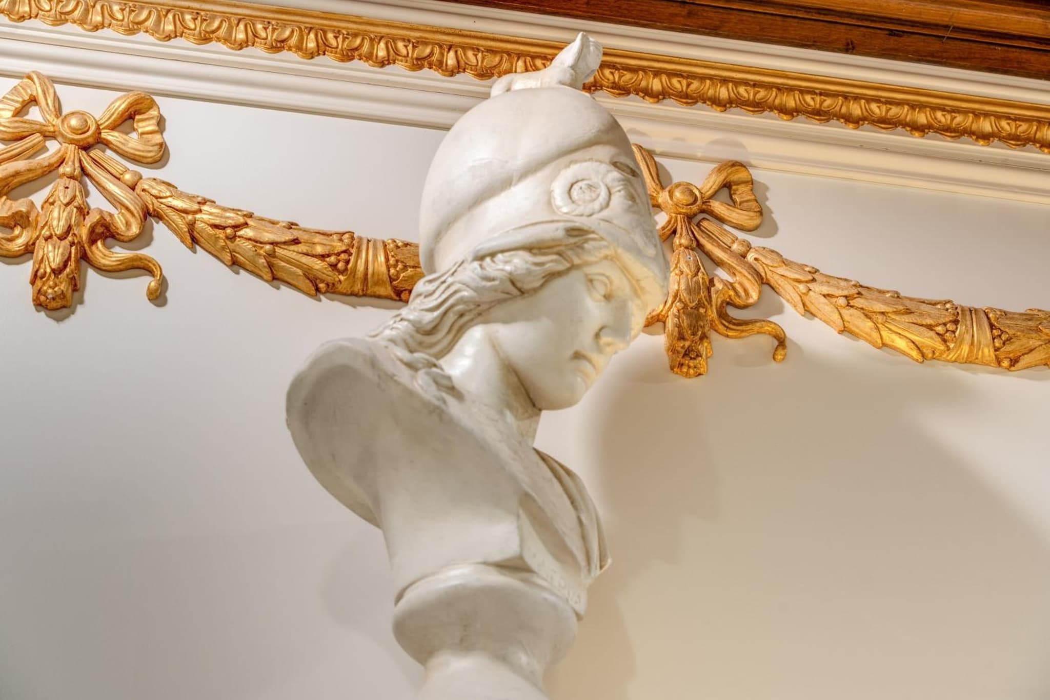 Artemis photo 9