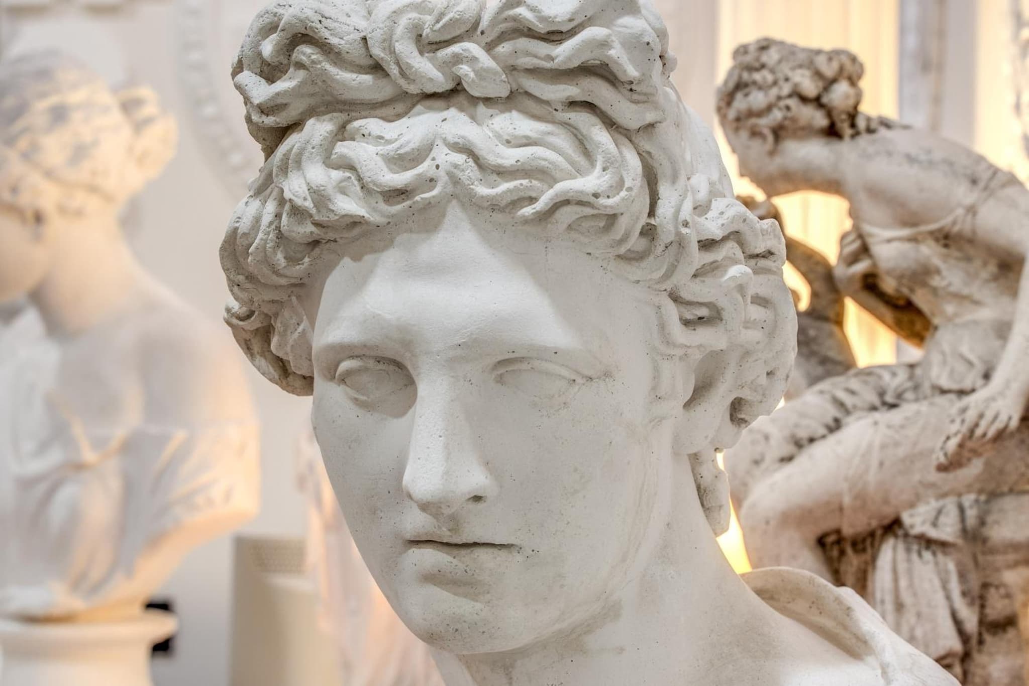 Artemis photo 2