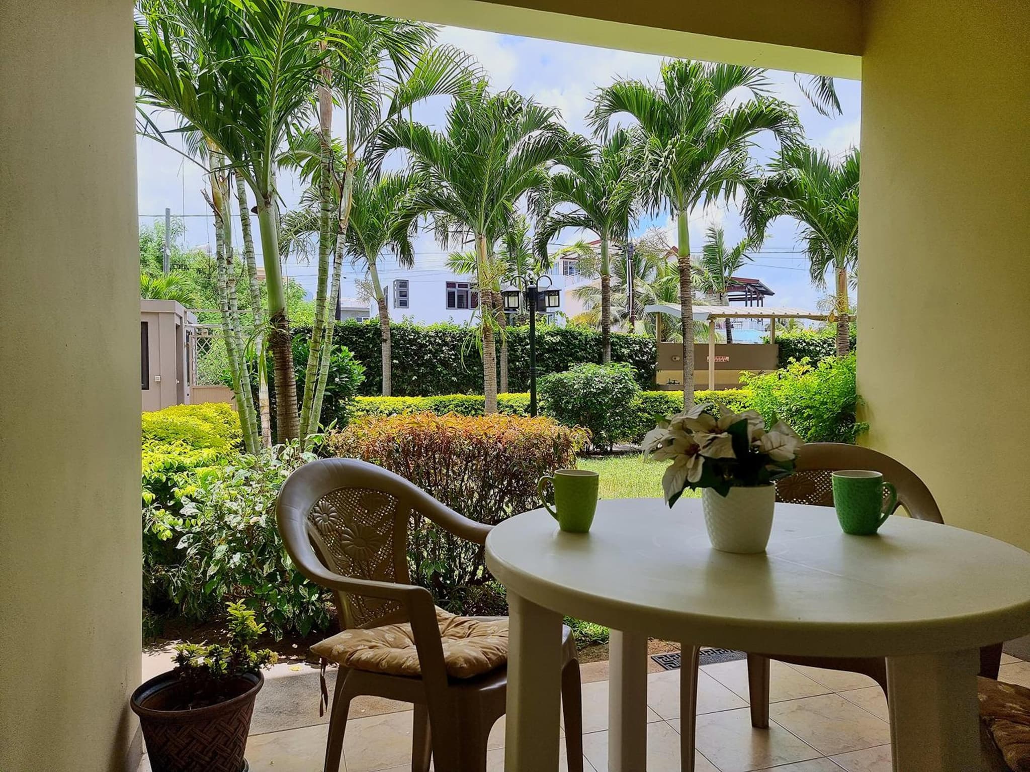Coconut Palm Retreat