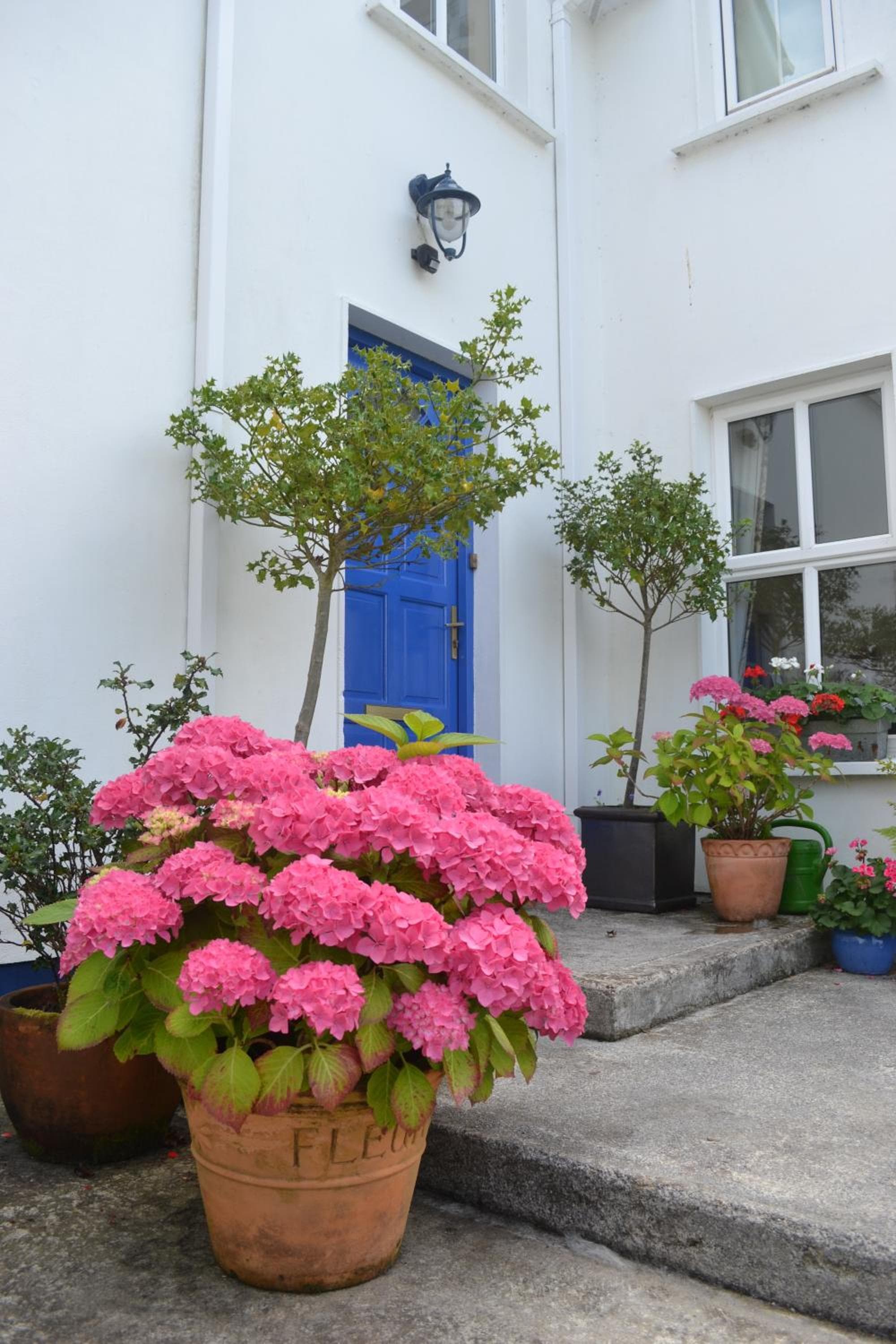 Guaire House Killarney photo 8