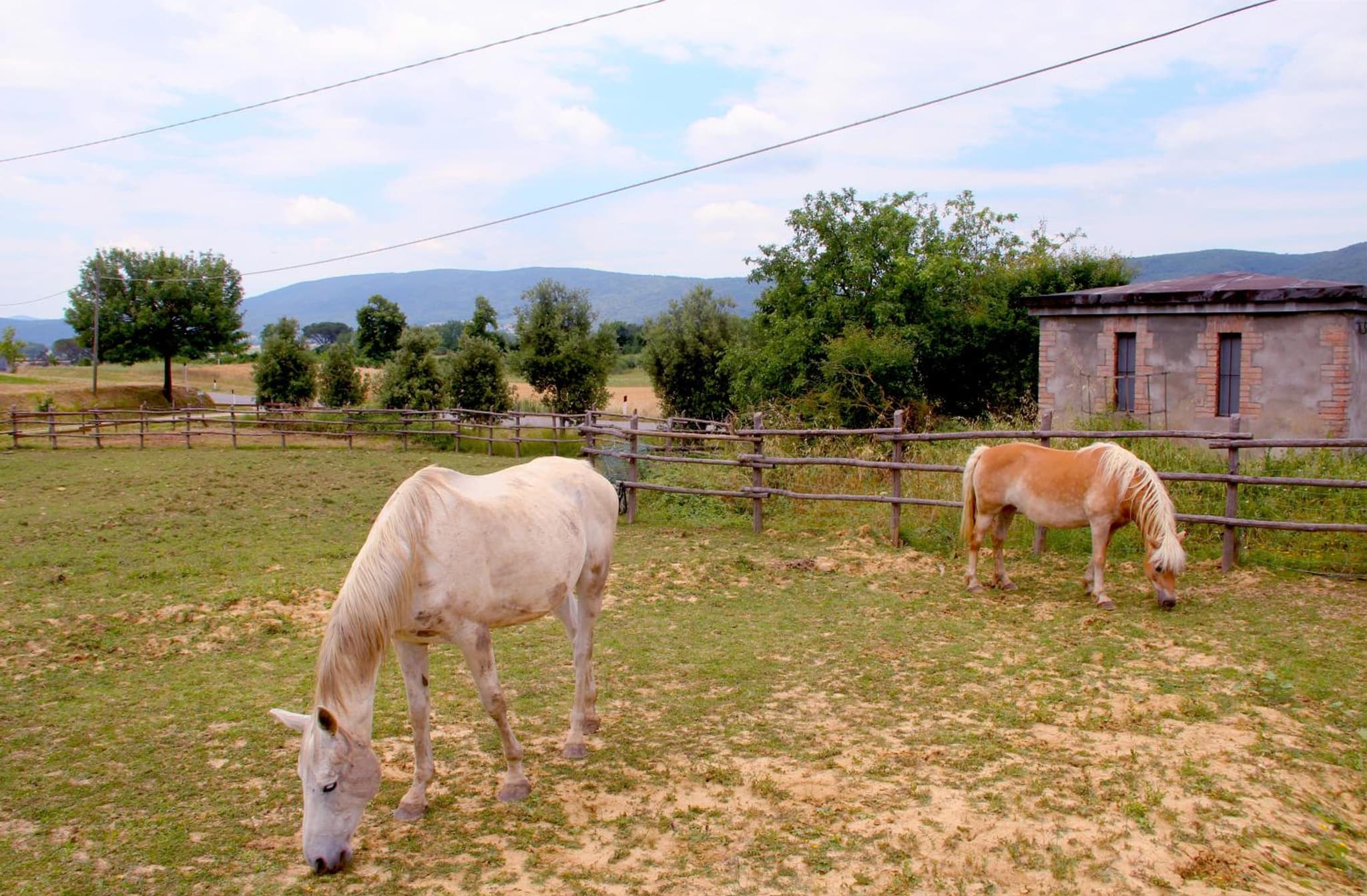 Casa Di Campagna In Toscana photo 6