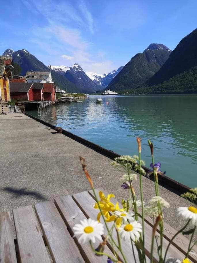 Sogndal ski- and mountain cabin photo 3