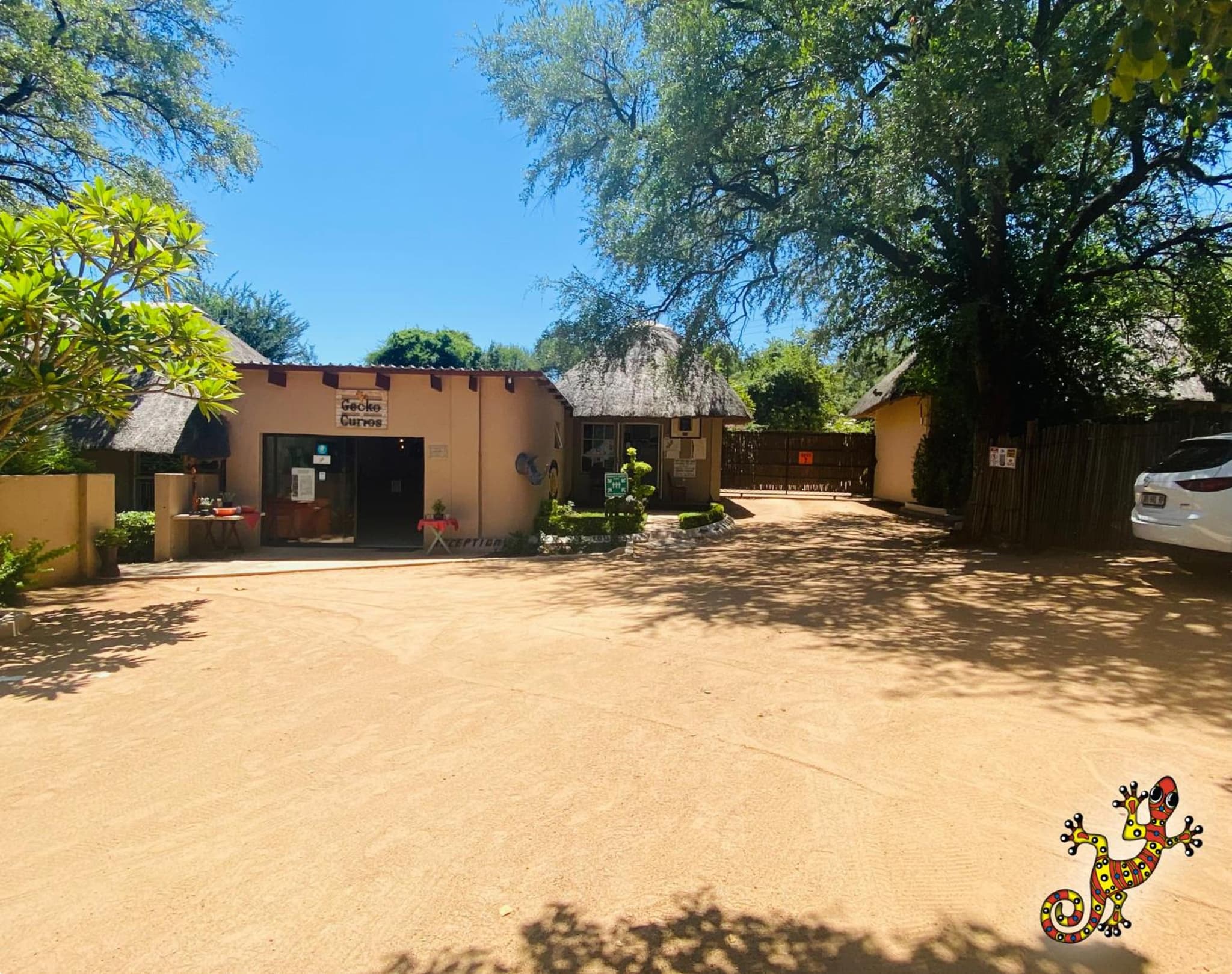 Sabie River Bush Lodge photo 8
