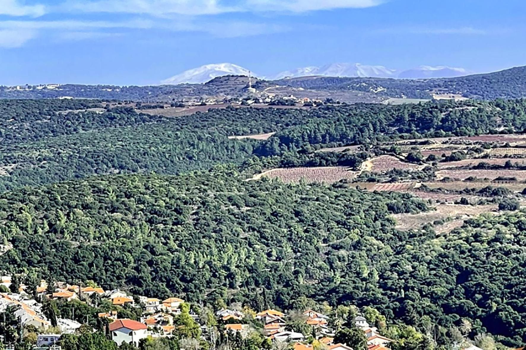 אוויר הרים photo 3