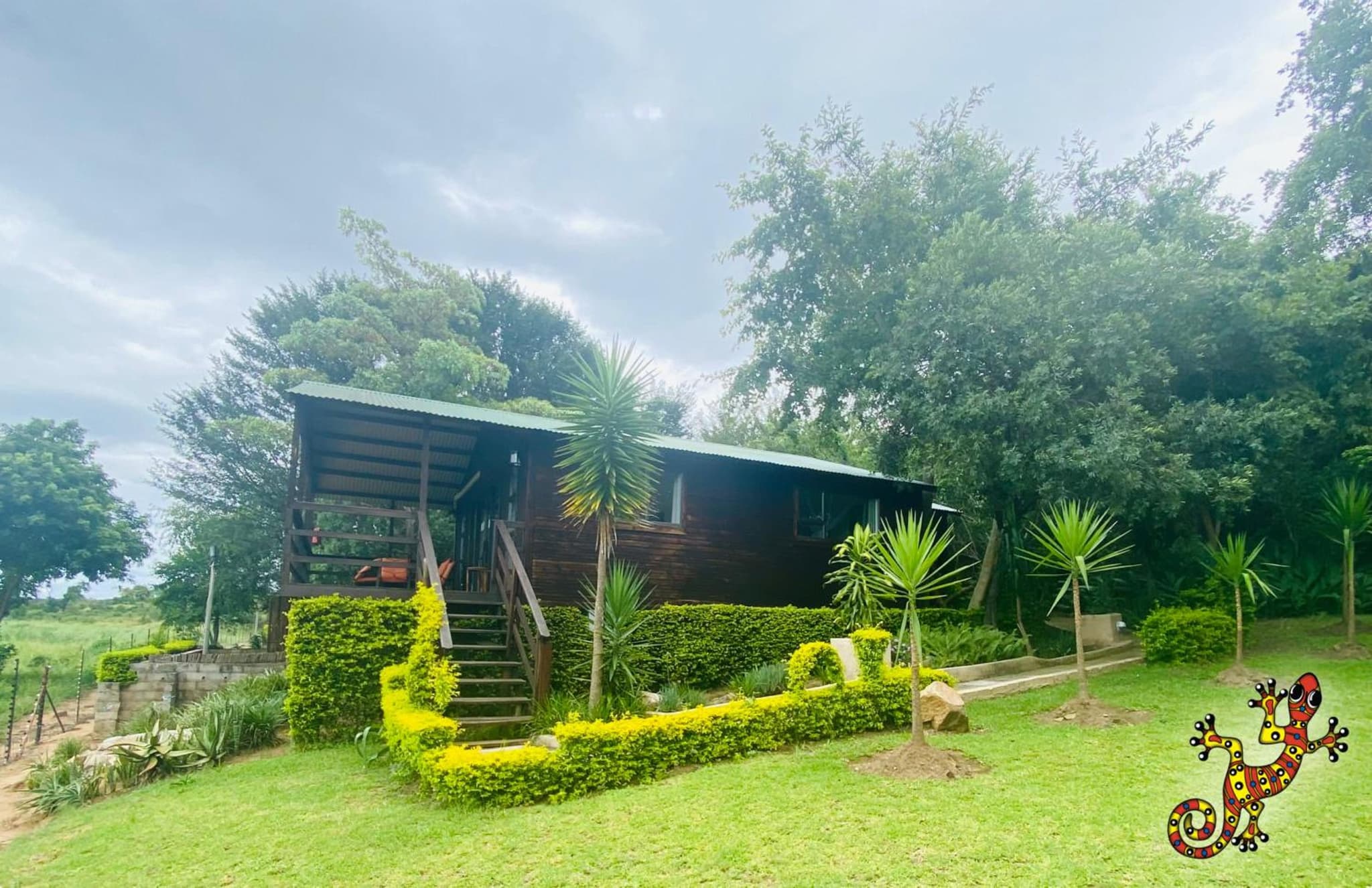 Sabie River Bush Lodge photo 6