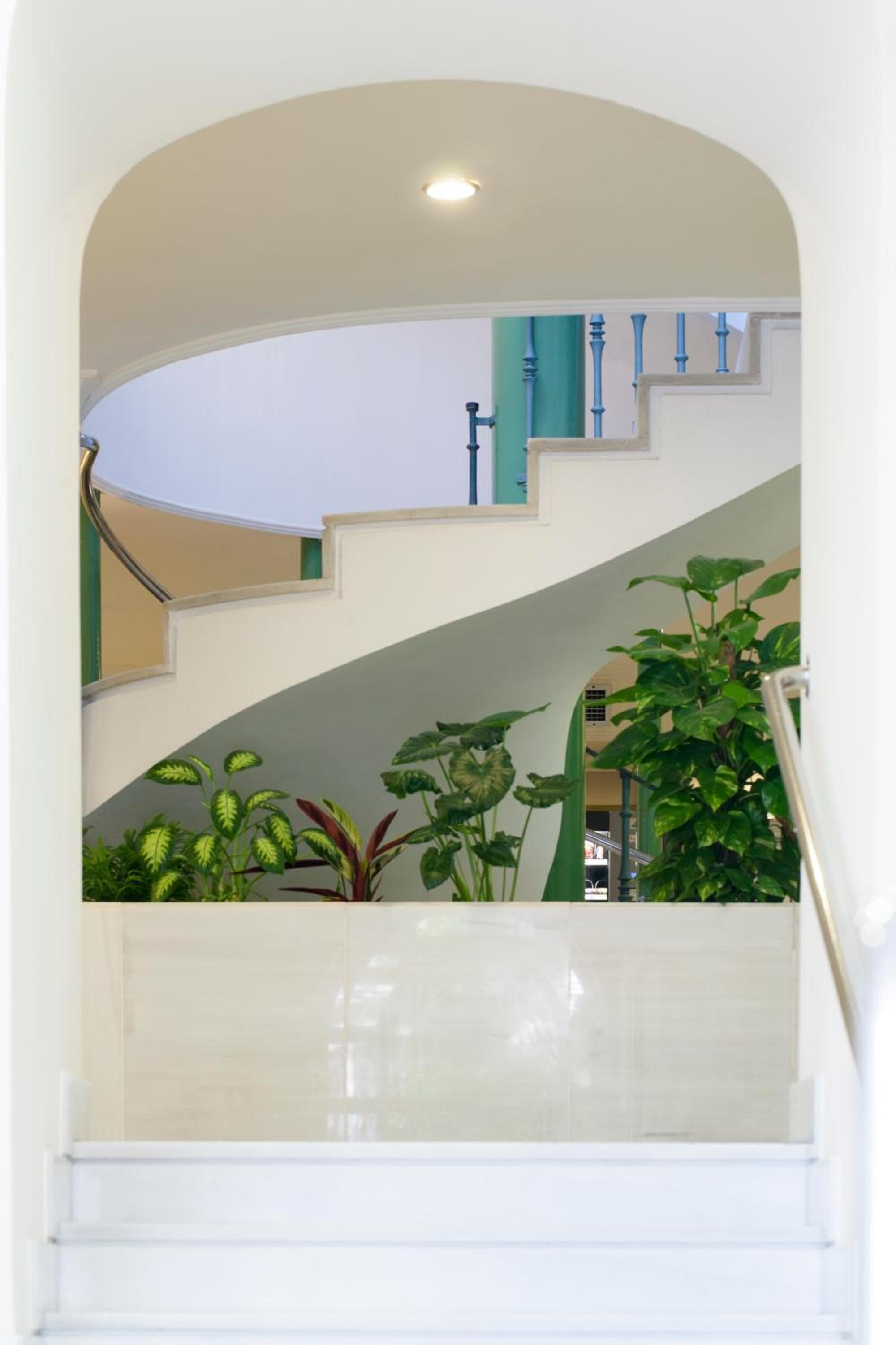 Hotel Plaza Cavana photo 8