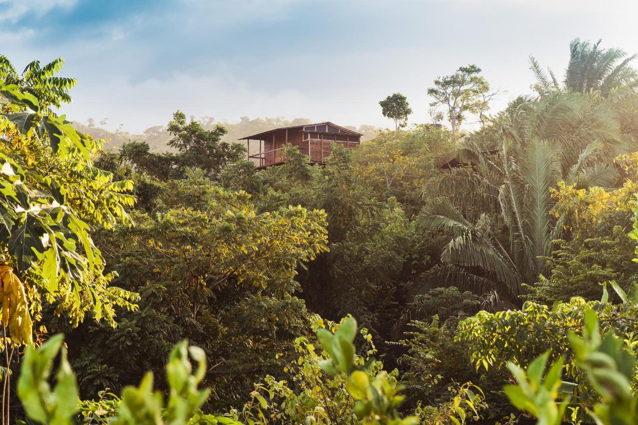 Casa del Bosque Tayrona