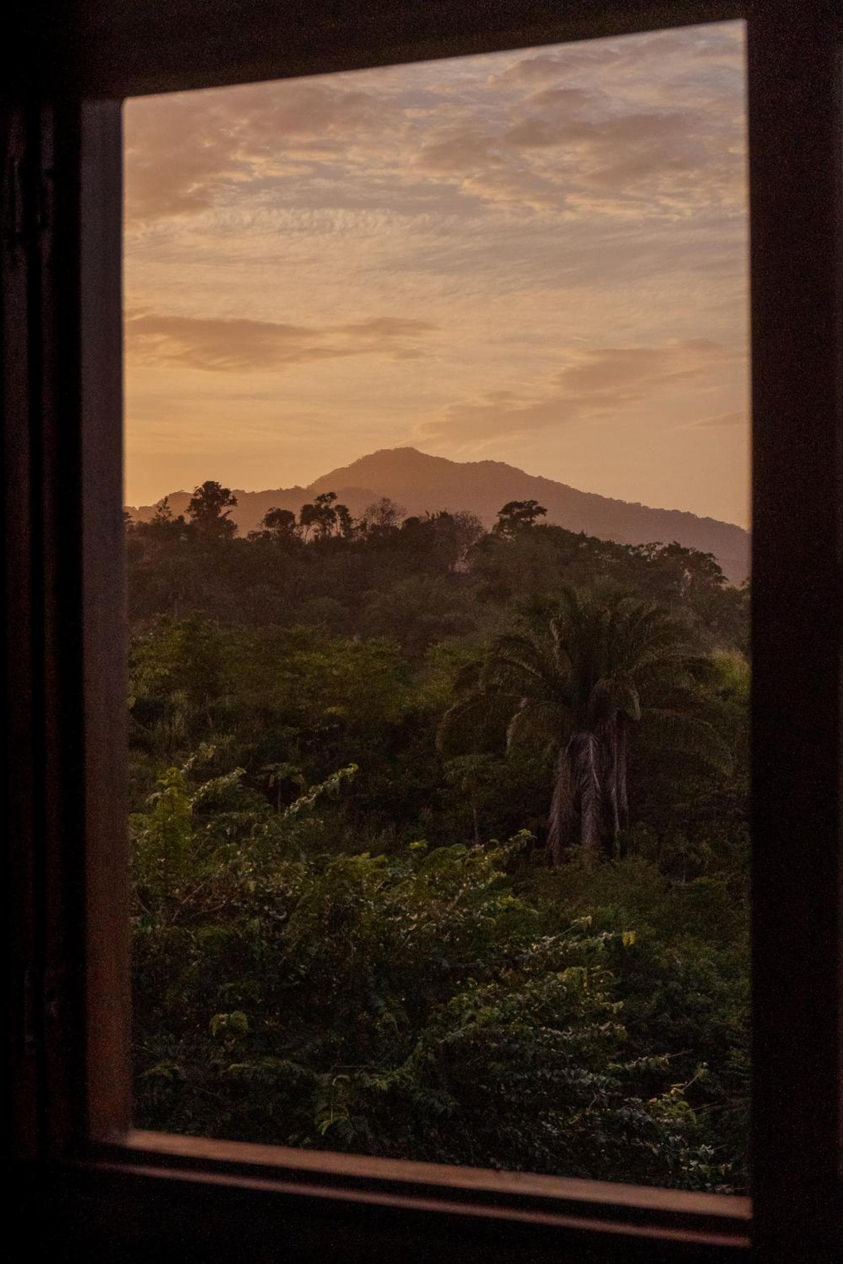 Casa del Bosque Tayrona photo 9