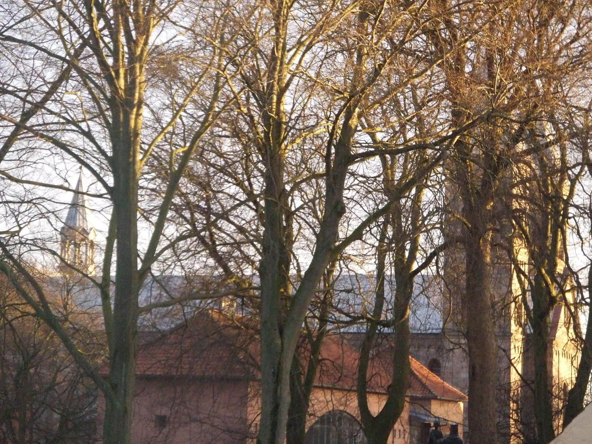 Nattely I Viborg By photo 9