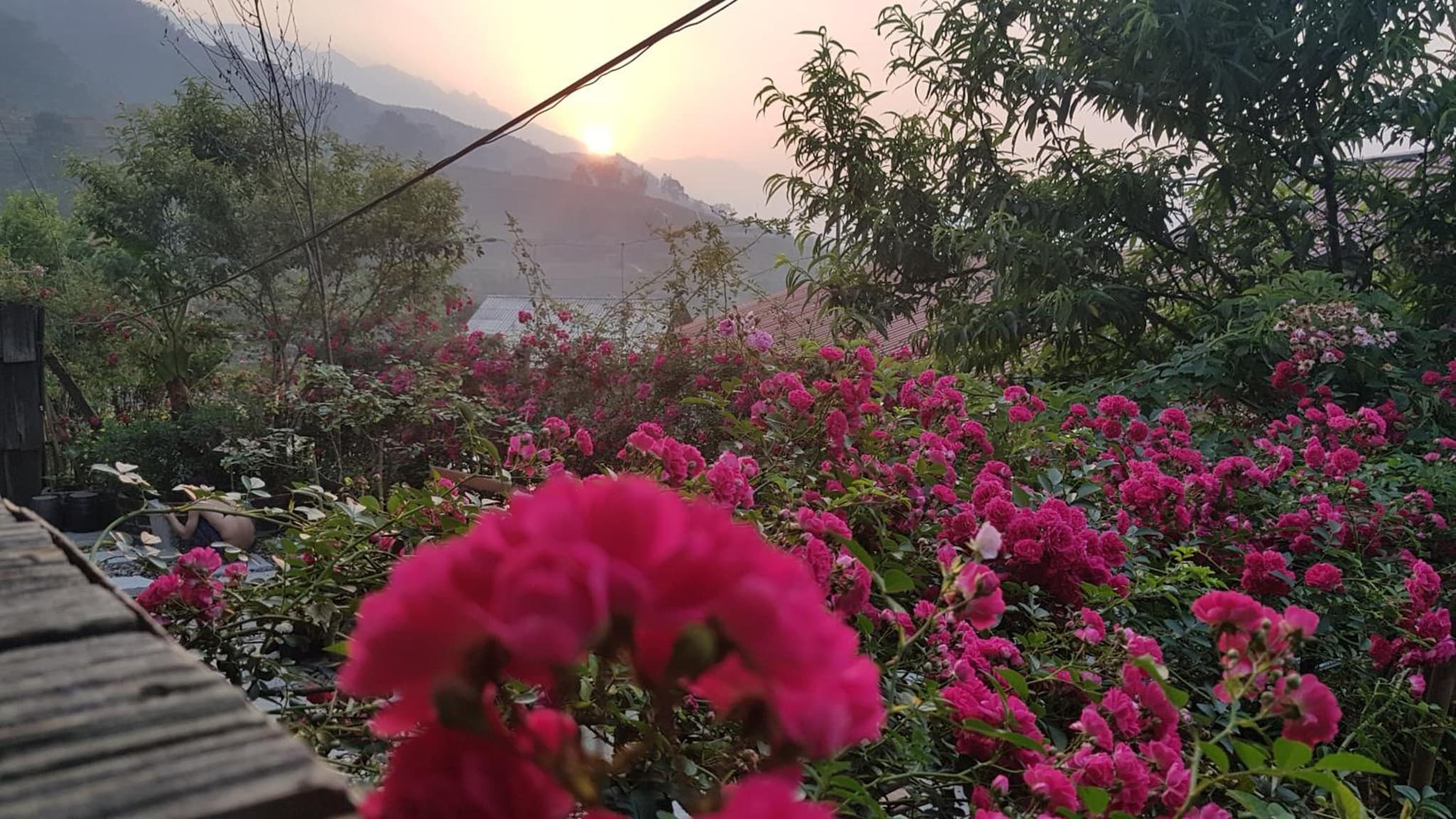 Tavan View Homestay photo 6