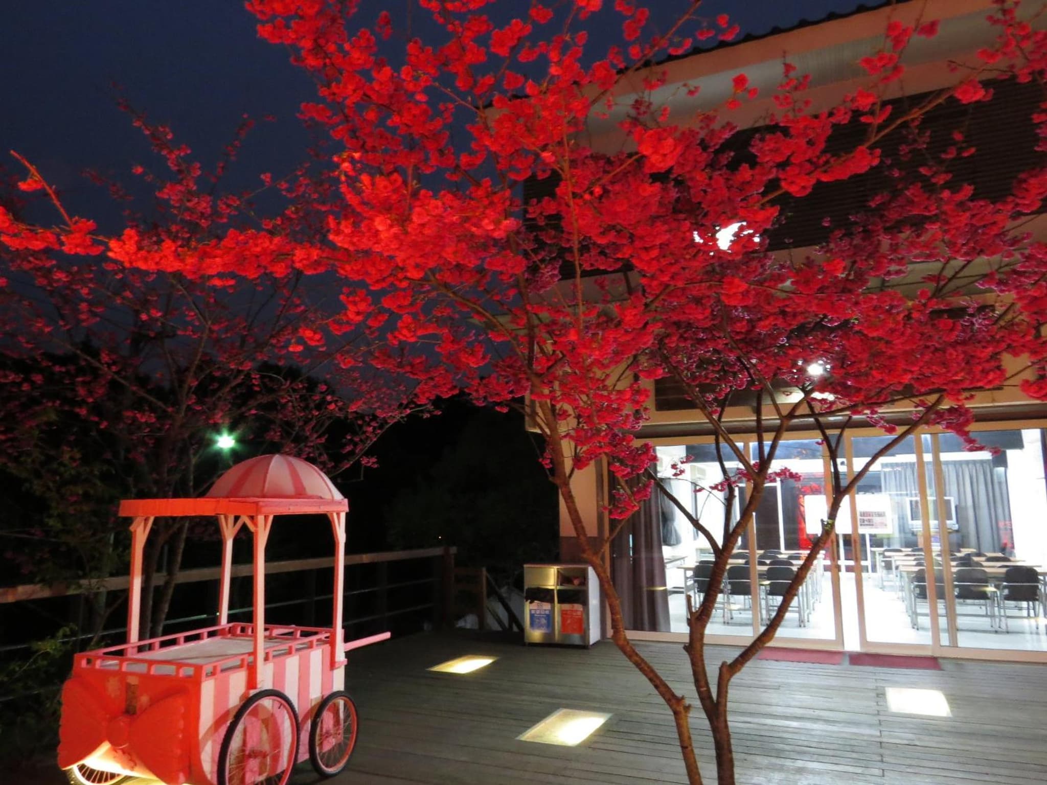 Sanyi Sakura Resort photo 3