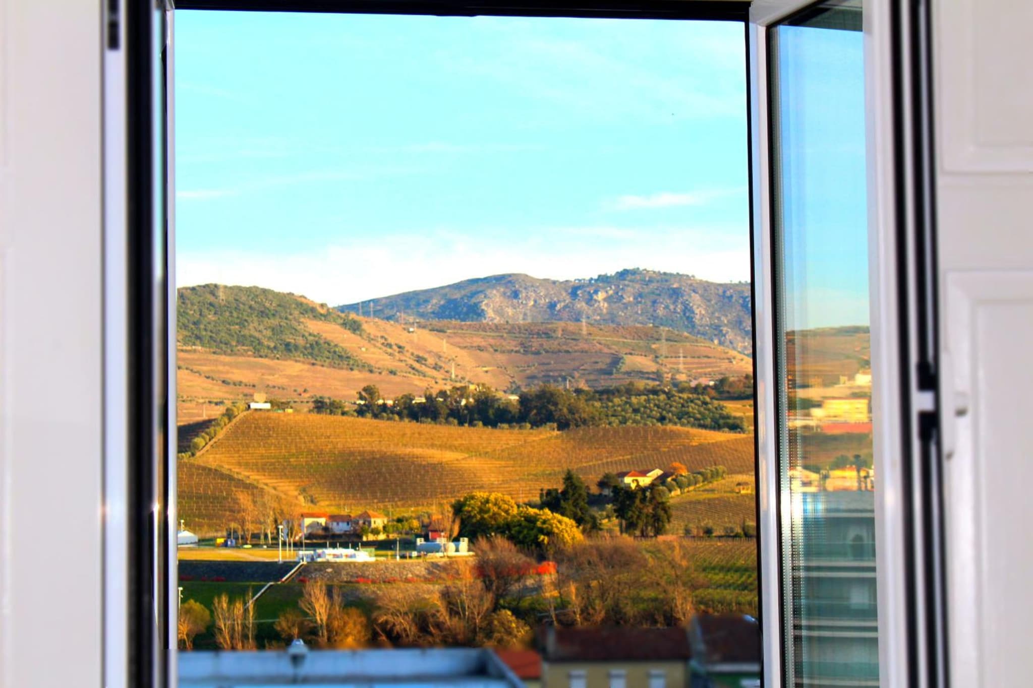 Casa do Salgueiral Douro photo 3