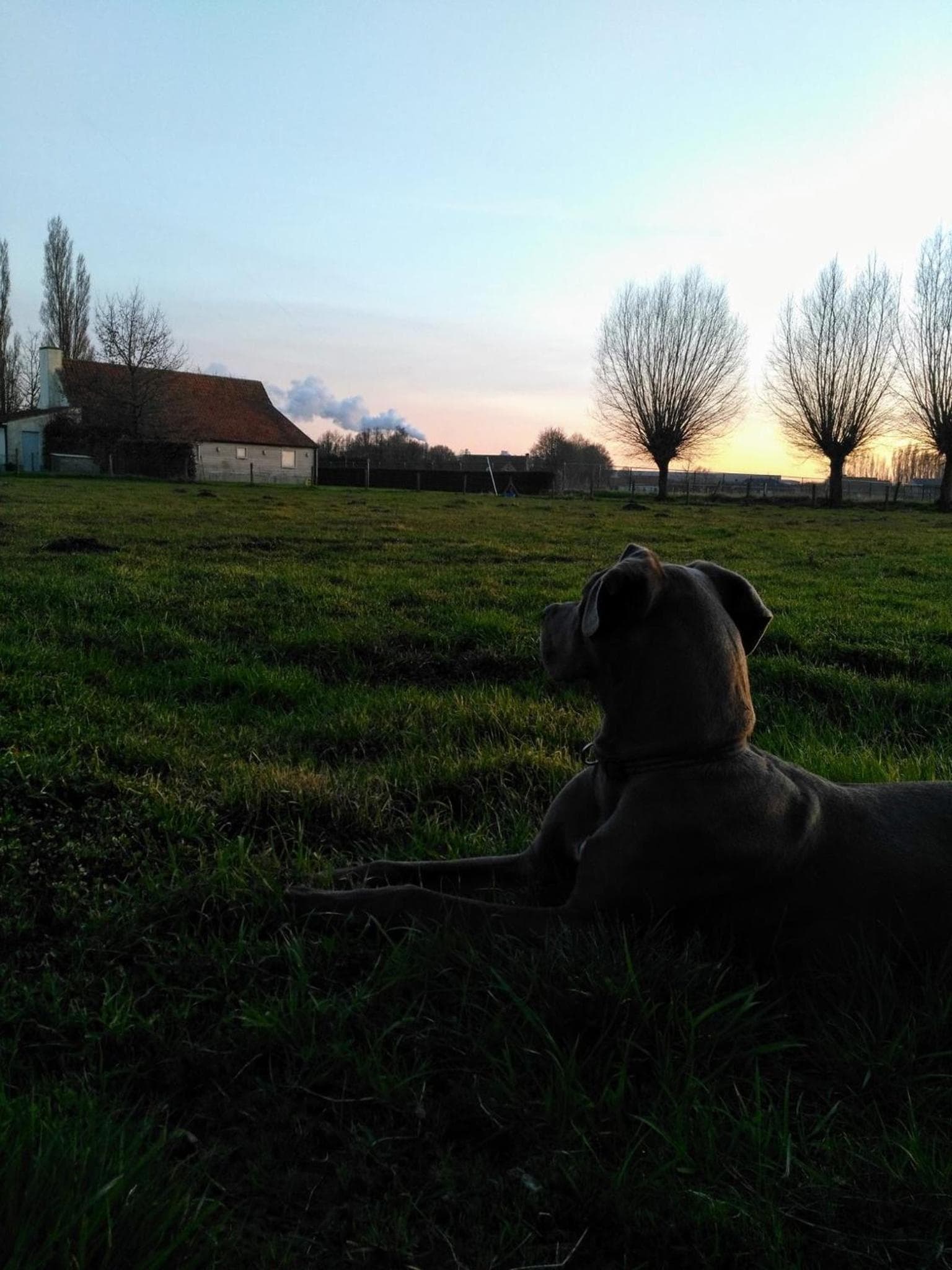 B&B De Pethaan photo 5