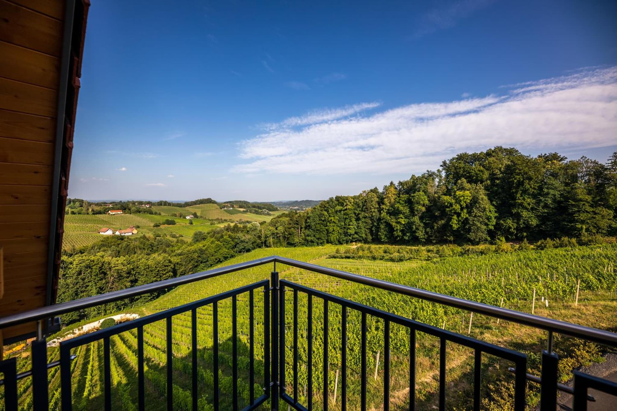 Ferienwohnung Weingut Birnstingl photo 9
