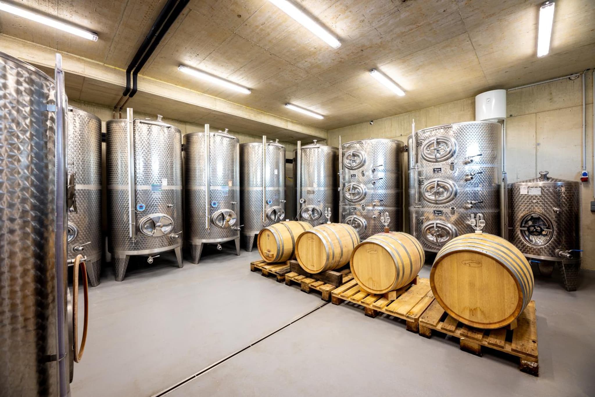 Ferienwohnung Weingut Birnstingl photo 5