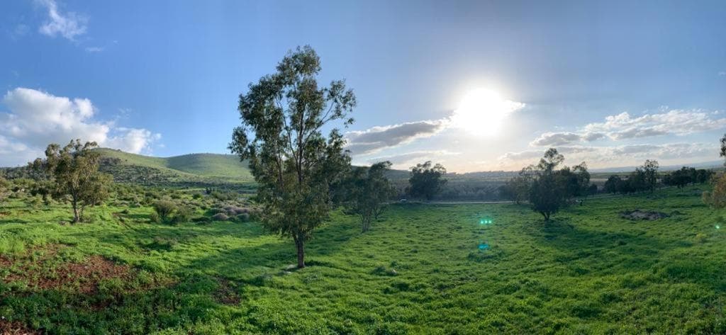 וילה לבנדר בריכה מחוממת 4 חדרי שינה photo 3