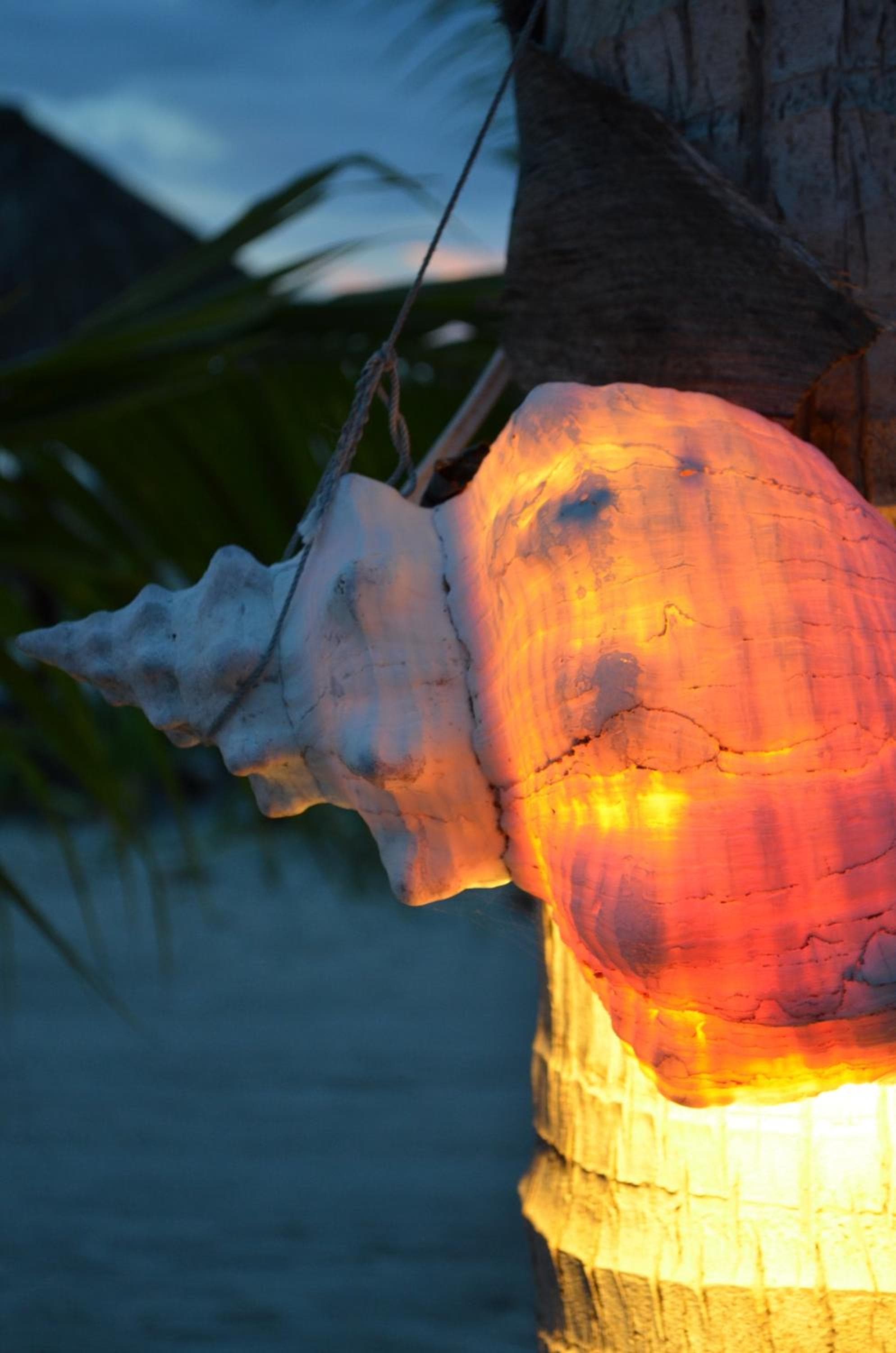 Casa Iguana Holbox - Beachfront Hotel photo 4
