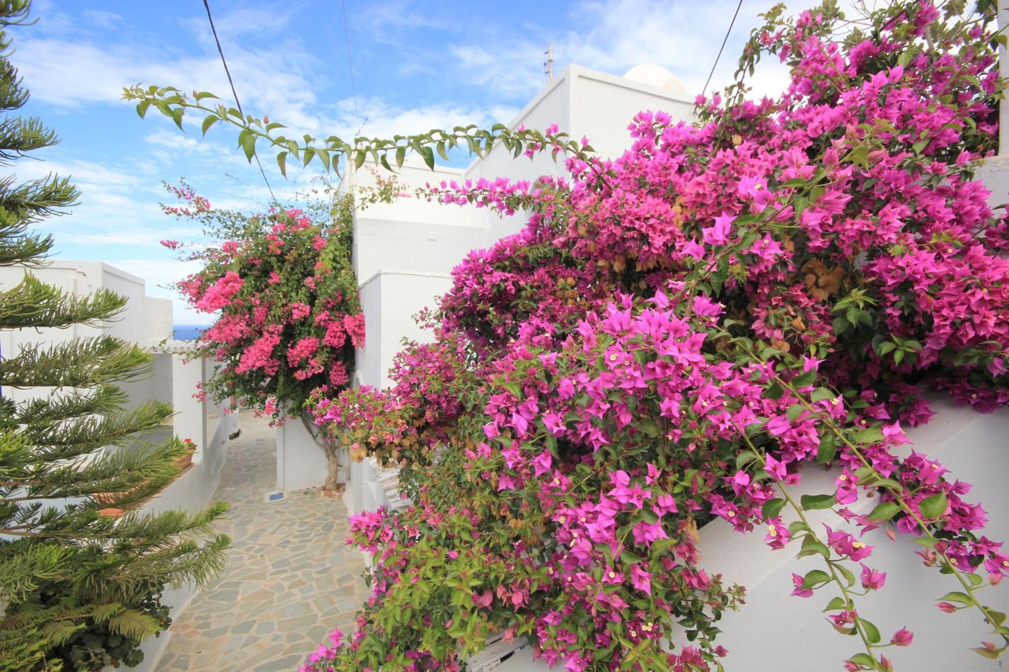 Unique Galini Oia - Adults Only photo 6