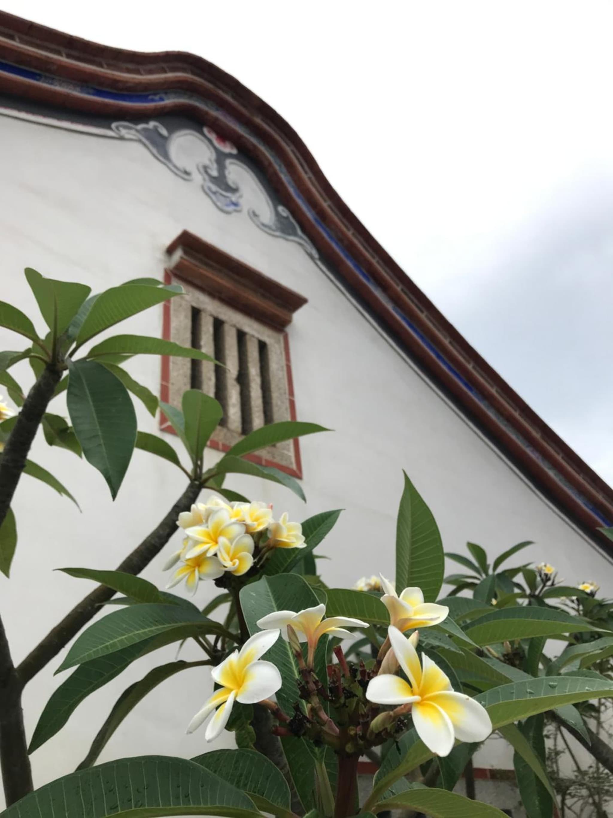 Grace Homestay 54 photo 4