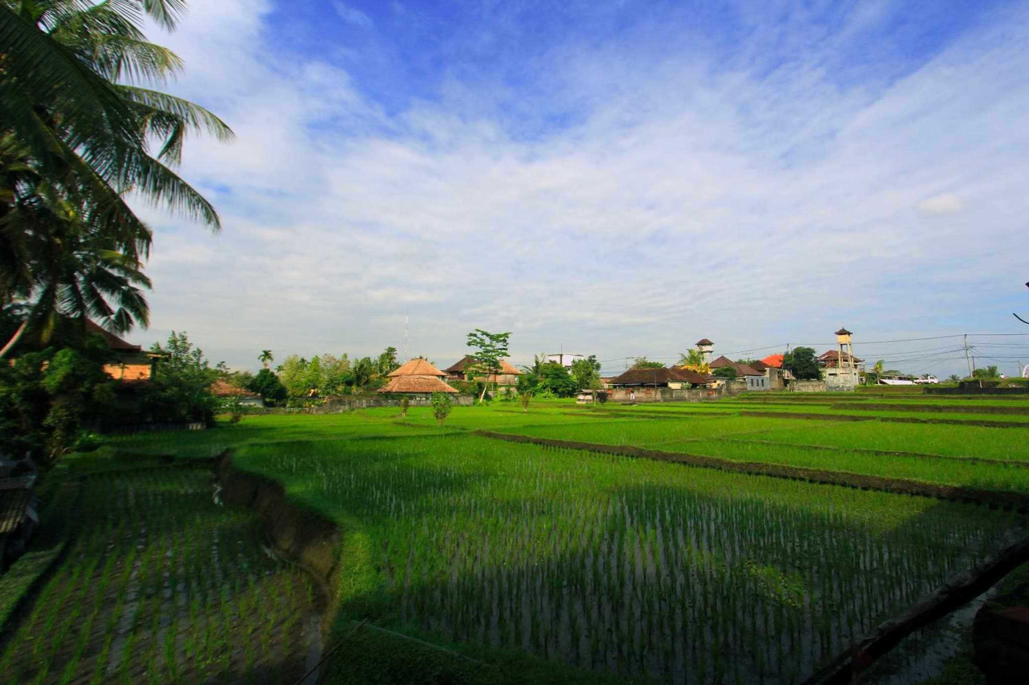 Alam Terrace Cottages photo 8