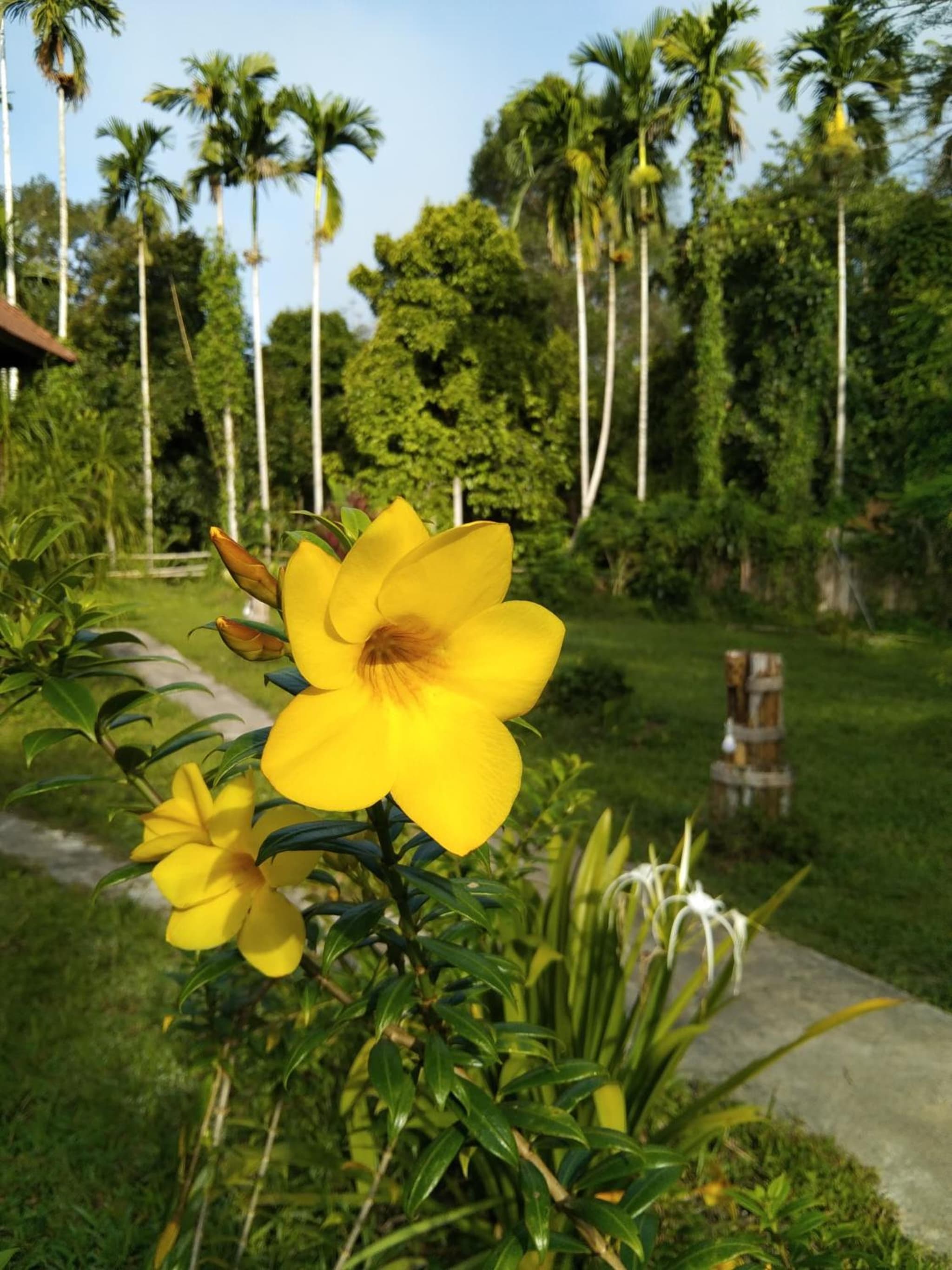 Khao Sok River & Jungle Resort photo 7