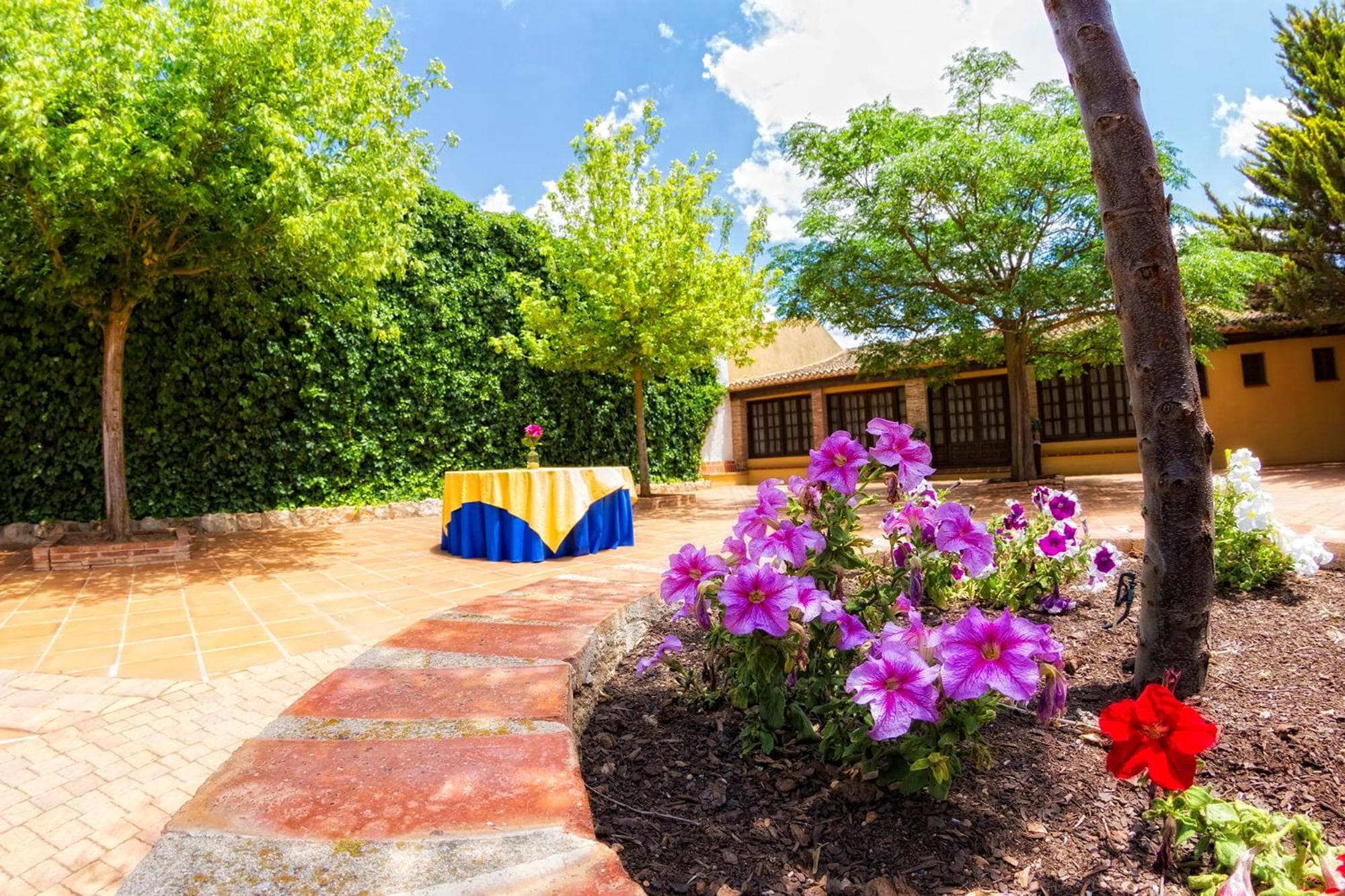Hotel Bodega La Venta photo 6
