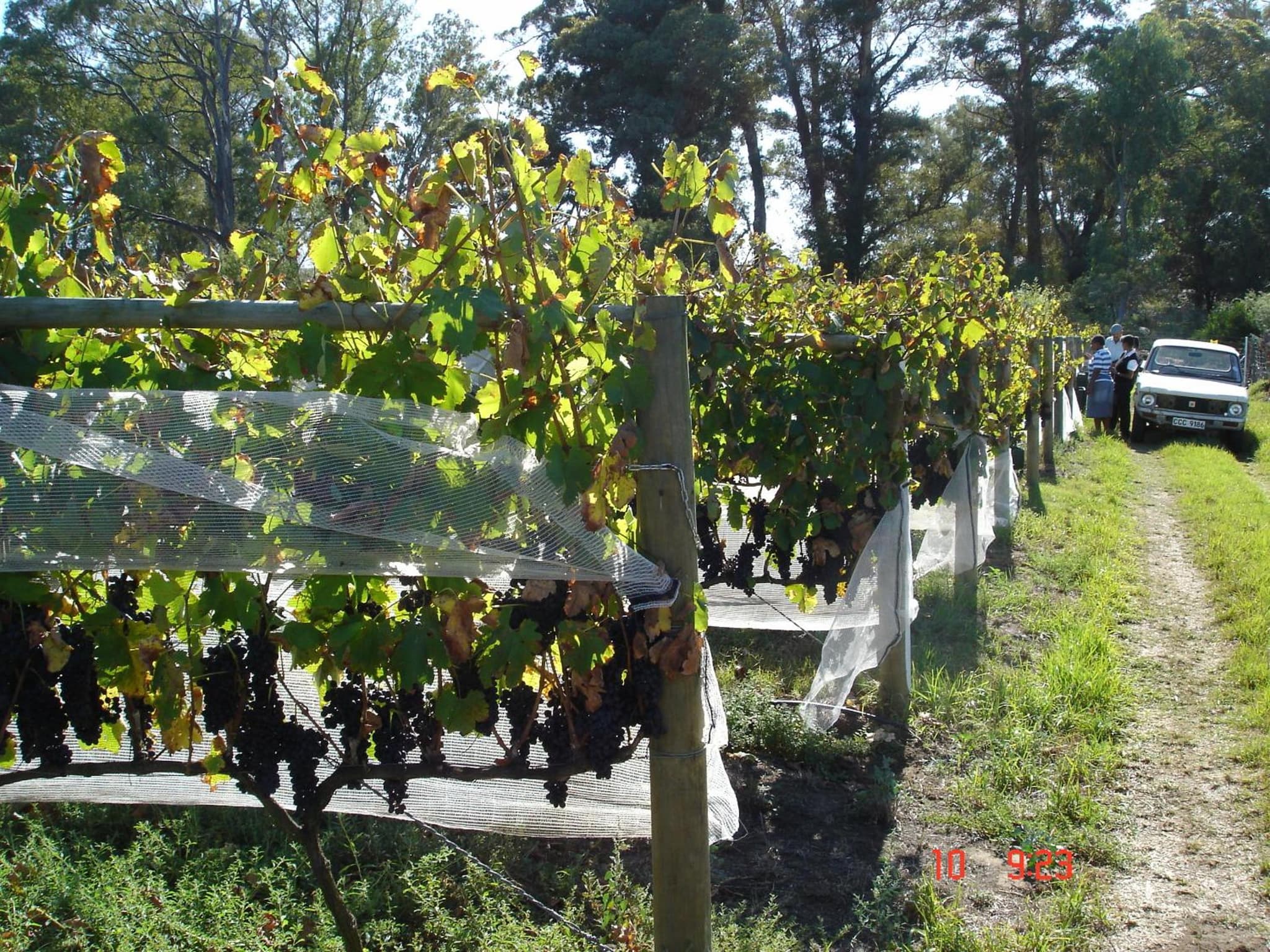 De Doornkraal Vinotel photo 7