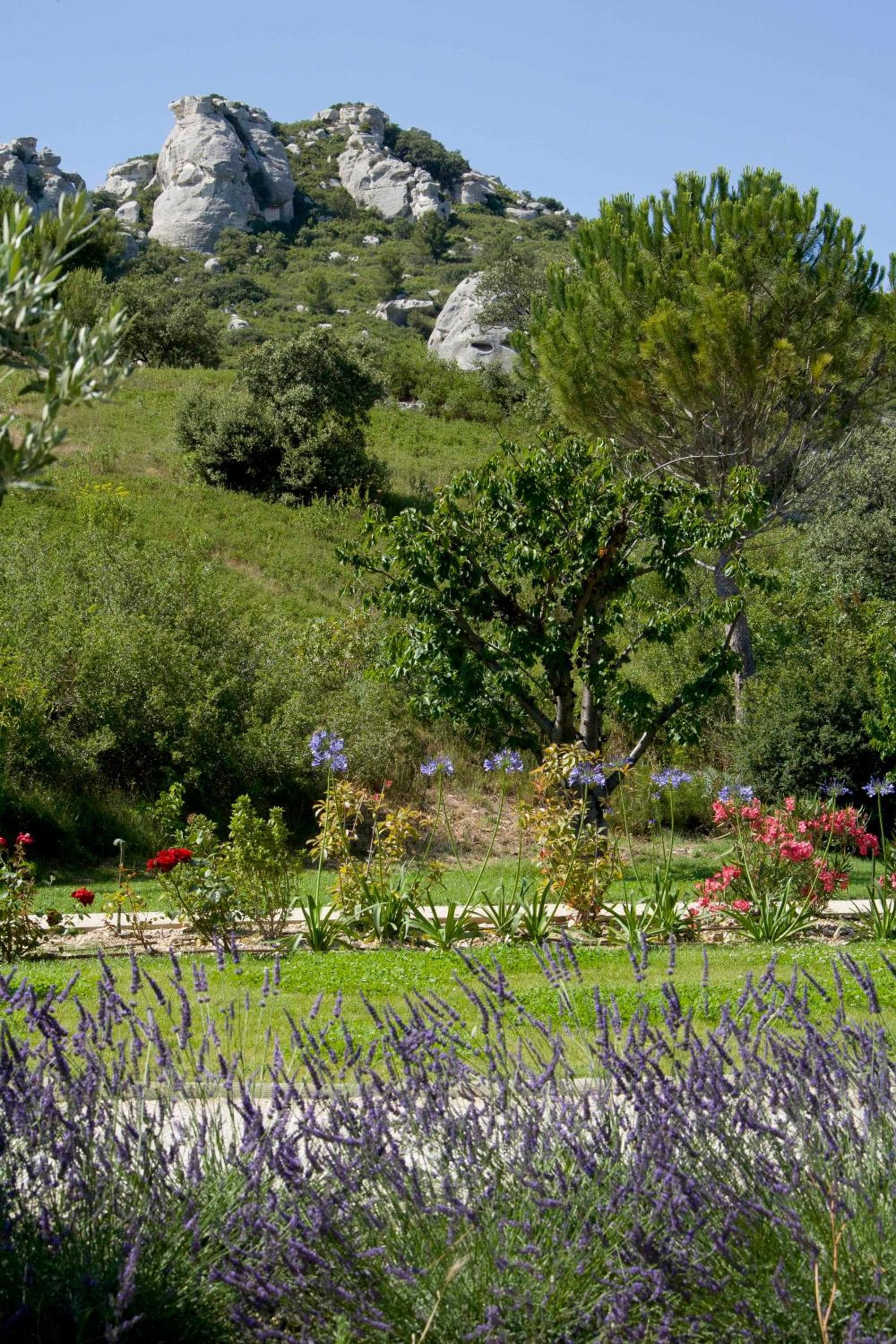 Benvengudo photo 7