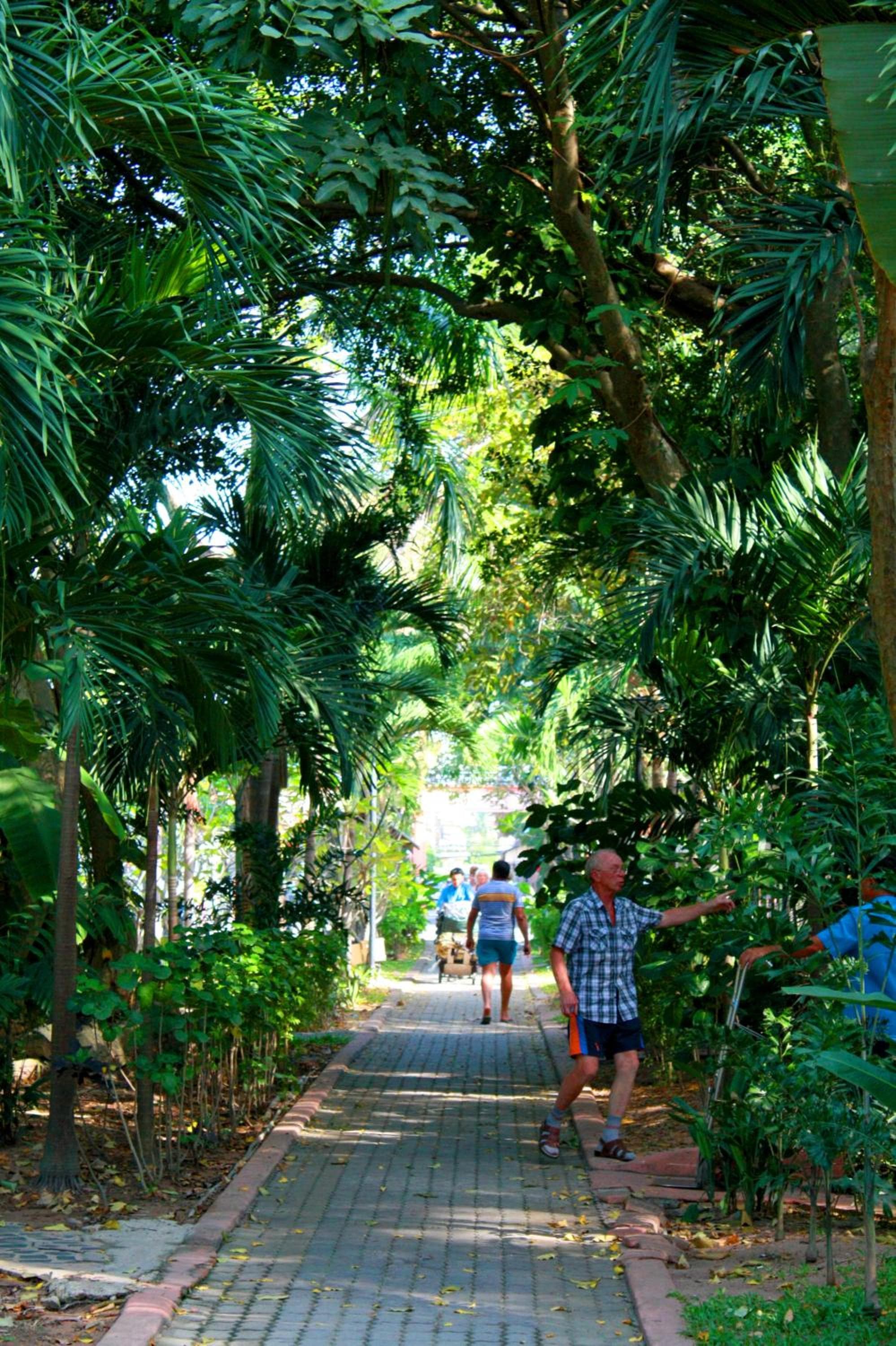 Pattaya Garden Resort photo 3