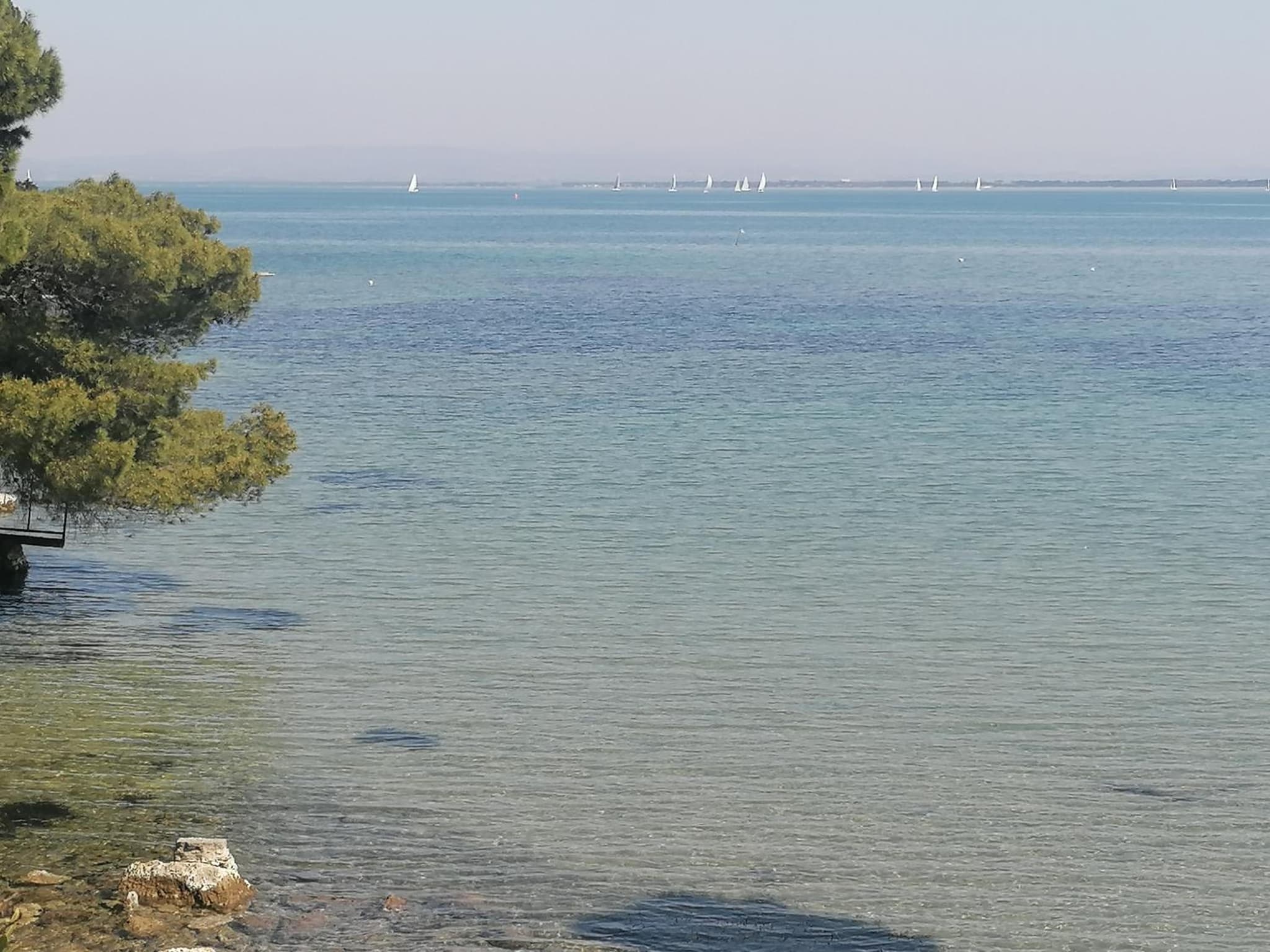 Panoramica Flat photo 5