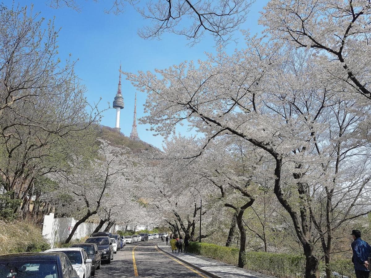 Namsan Guesthouse photo 3