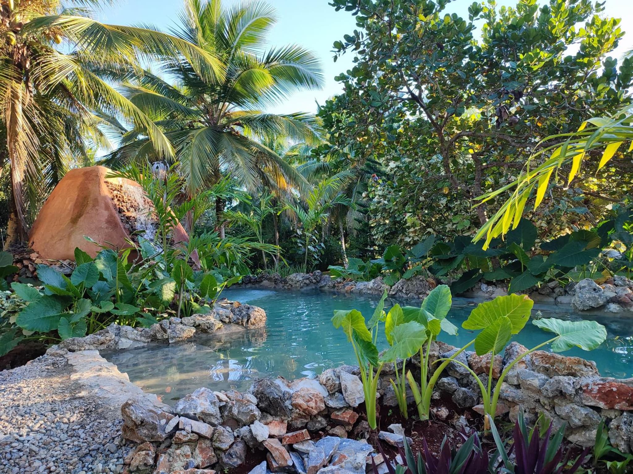 Aventura Rincon Ecolodge photo 5
