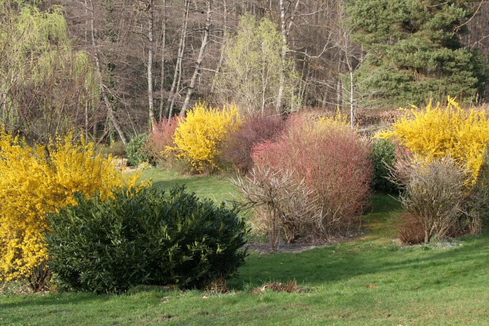 Chambres d'Hôtes "La Landre" photo 3