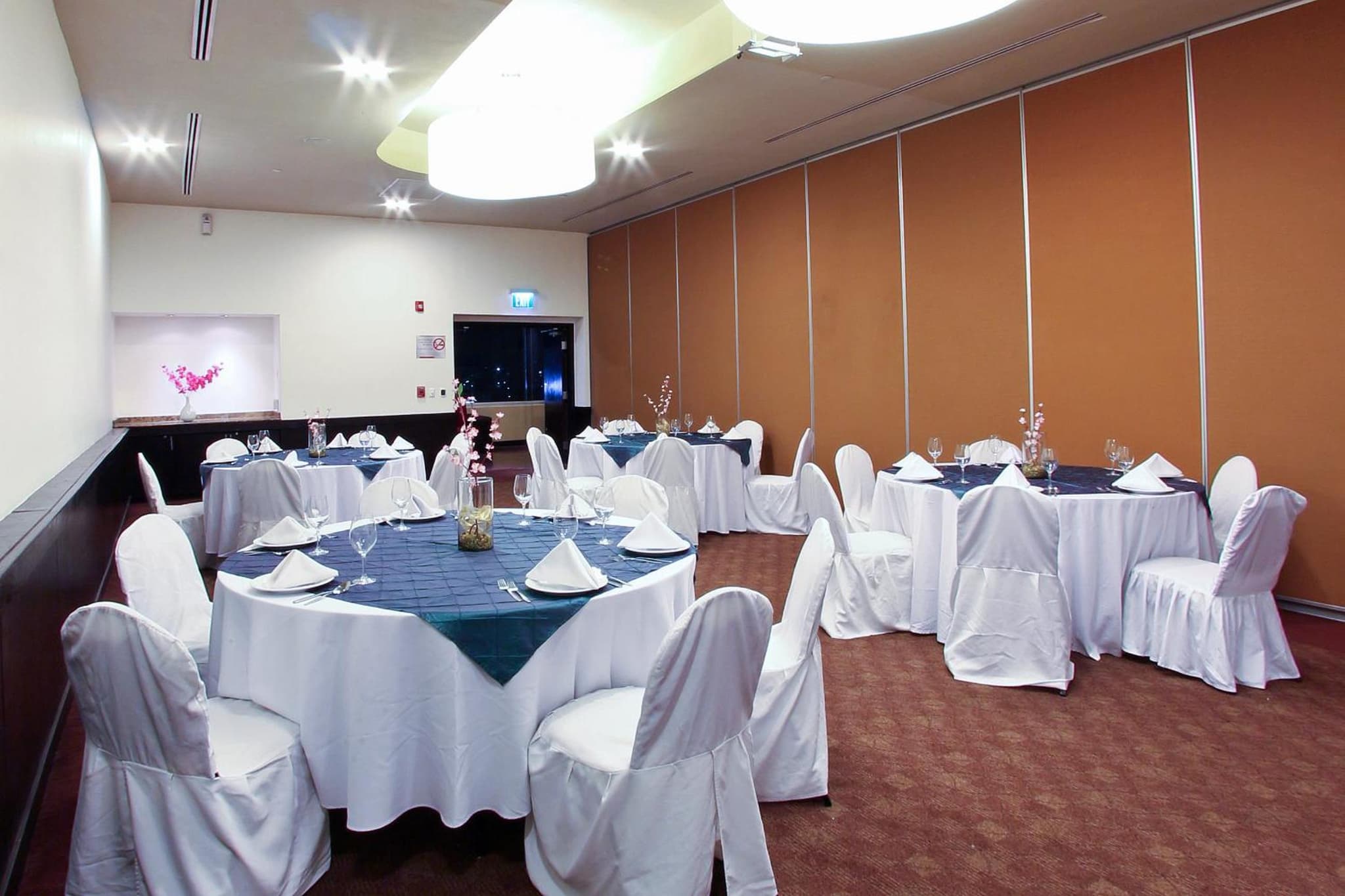 Fiesta Inn Express Durango photo 8