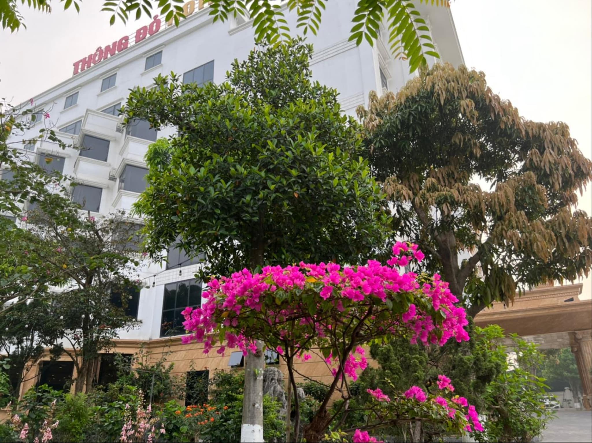 Thông Đỏ Hotel photo 9