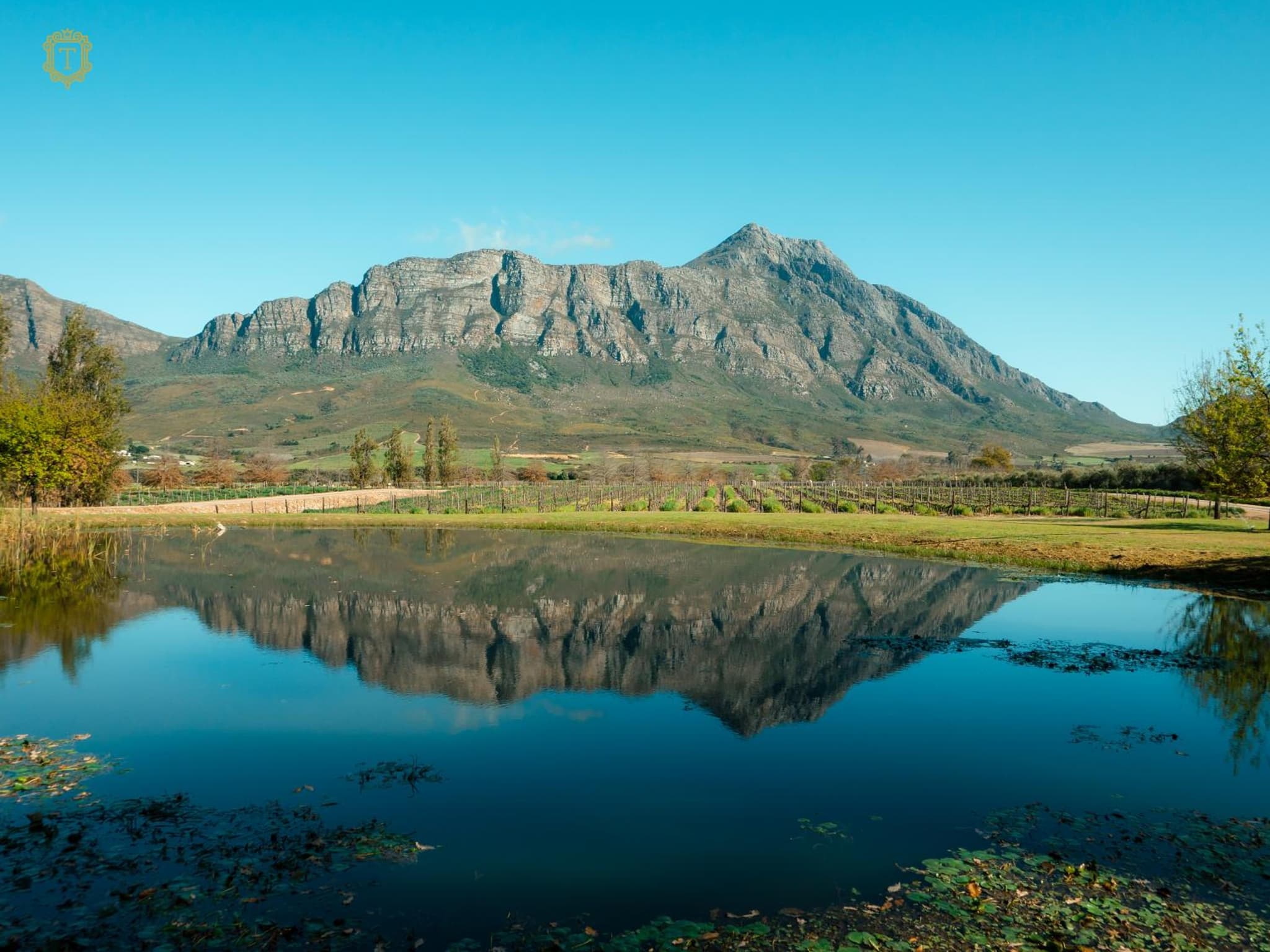 Tulbagh Boutique Heritage Hotel photo 6