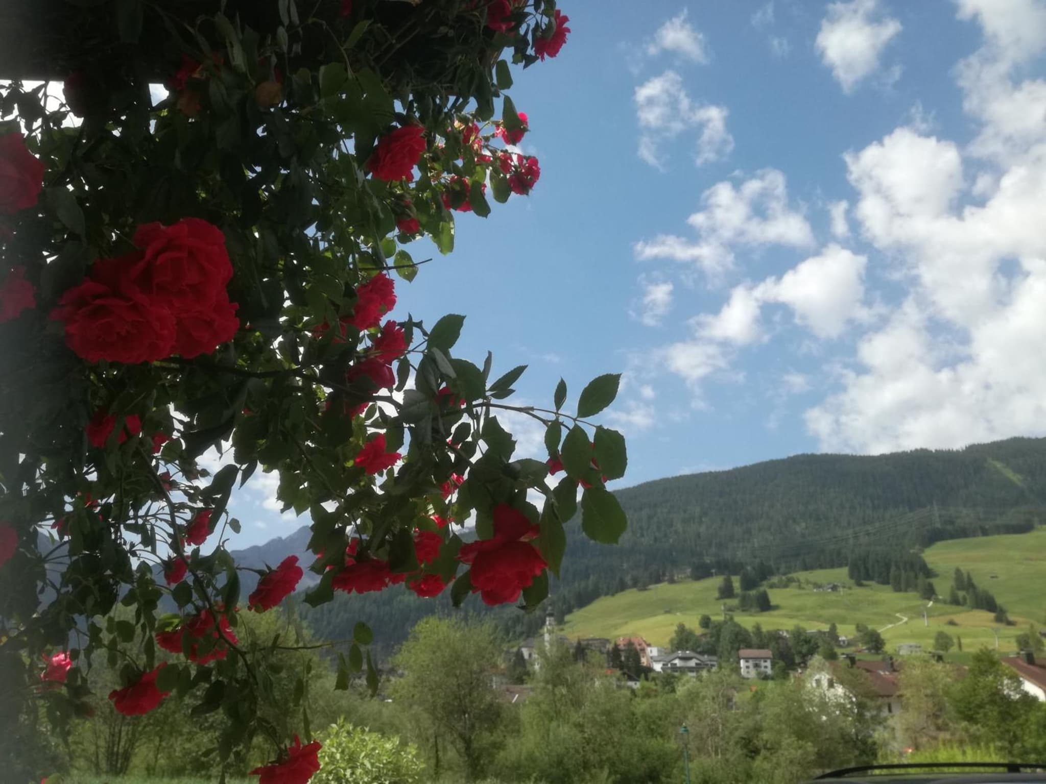 Haus Haas photo 6